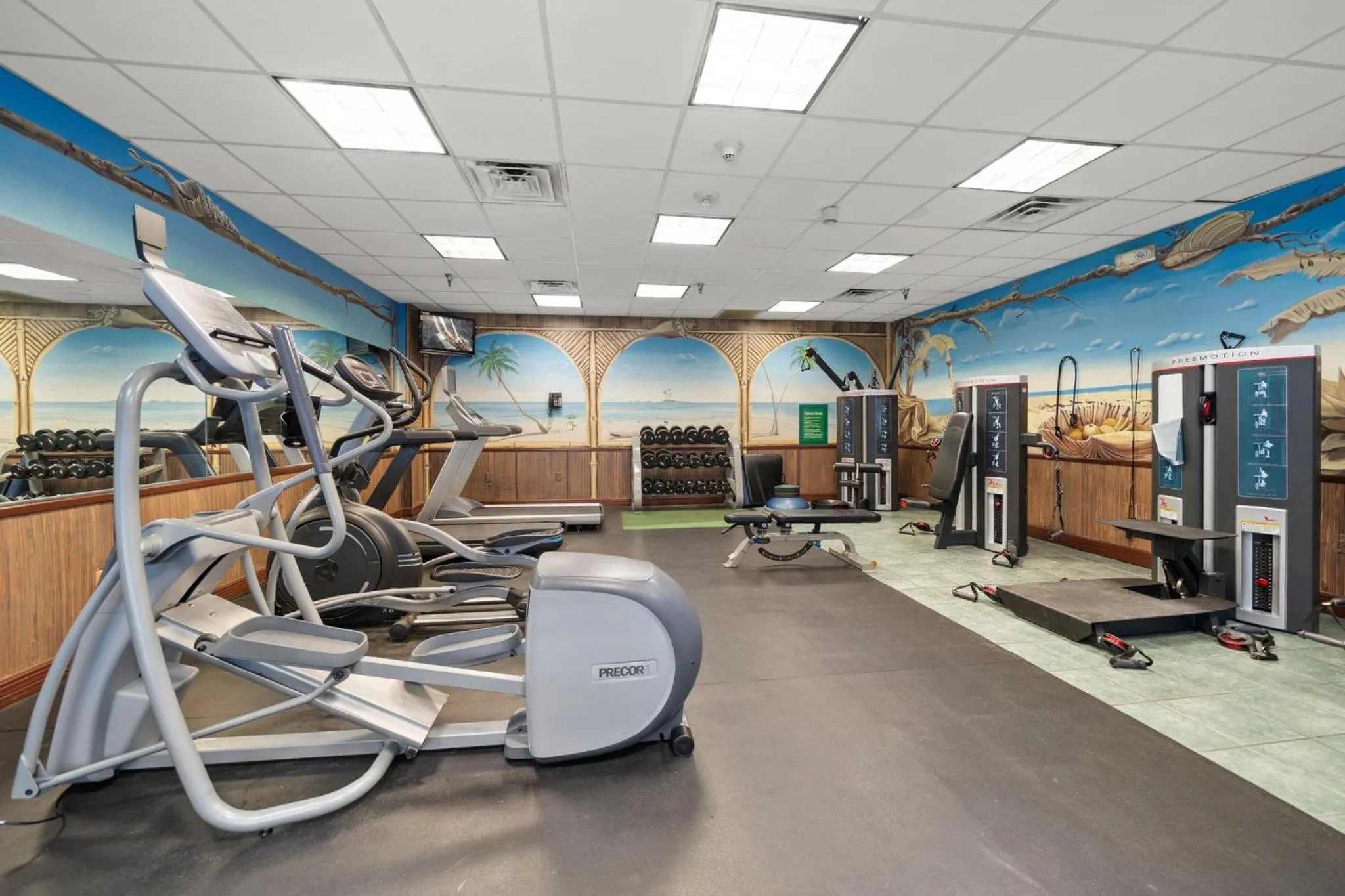 Fitness centre/facilities in Holiday Inn & Suites Clearwater Beach S-Harbourside