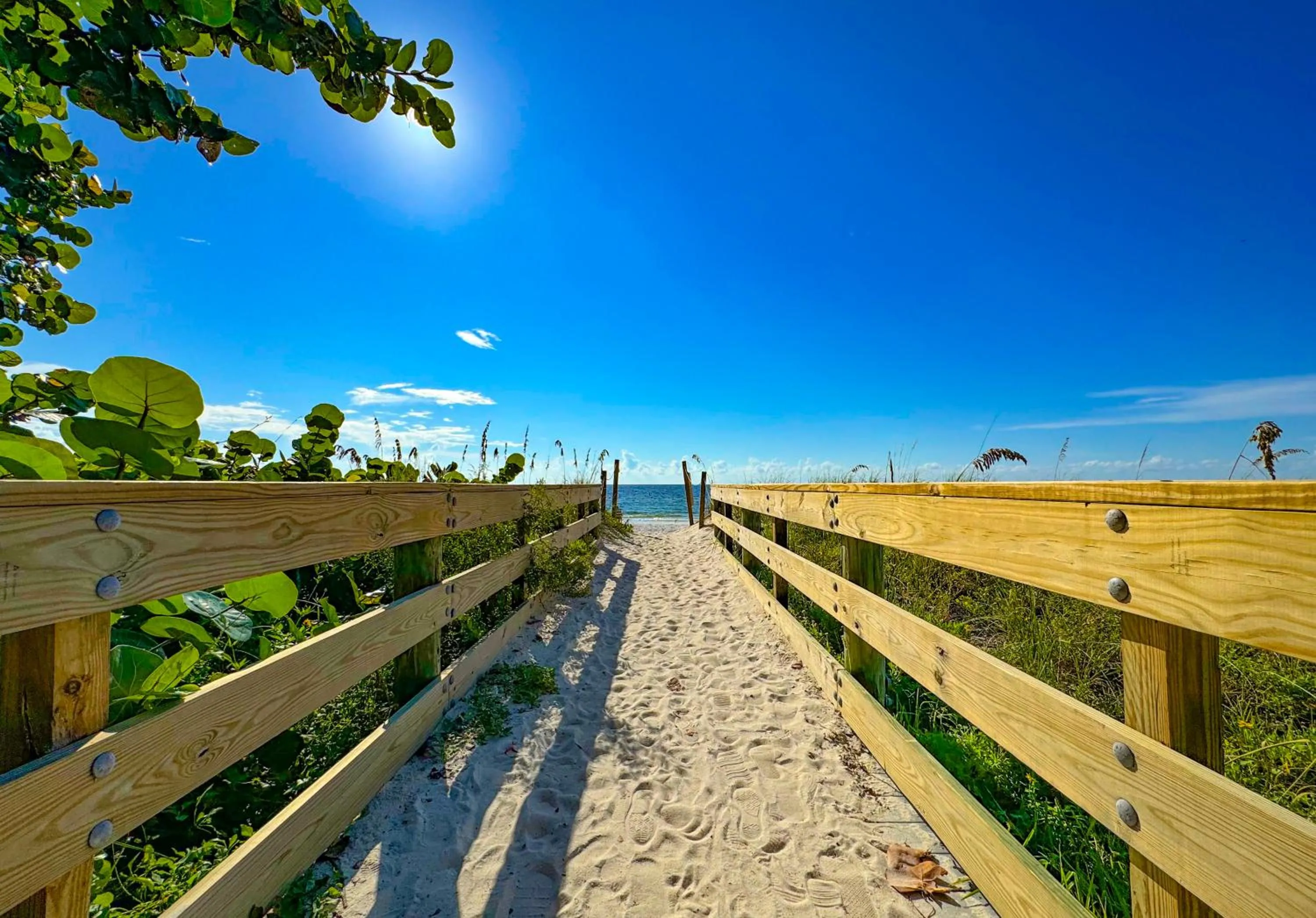 Area and facilities in Holiday Inn & Suites Clearwater Beach S-Harbourside