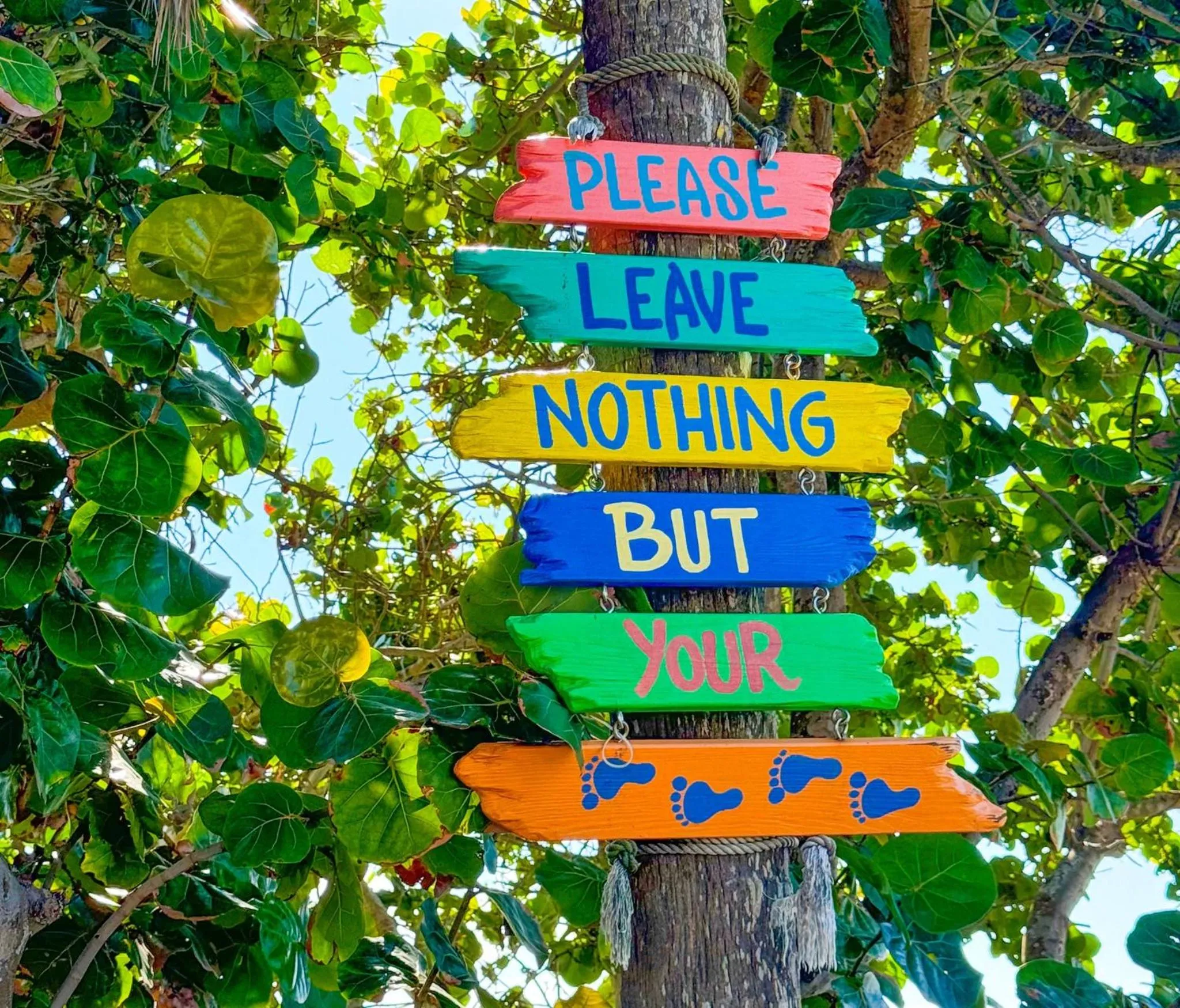 Other in Holiday Inn & Suites Clearwater Beach S-Harbourside