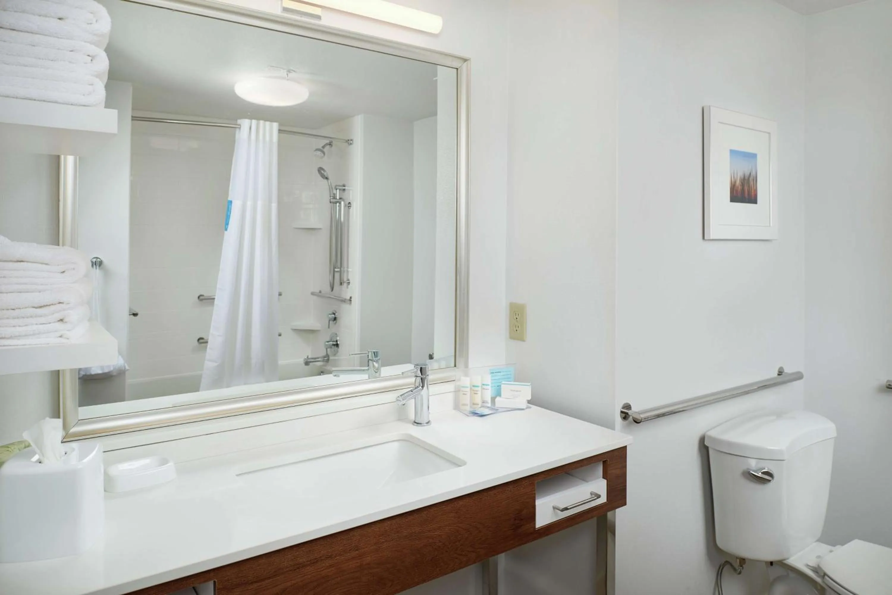 Bathroom in Hampton Inn & Suites Rogers