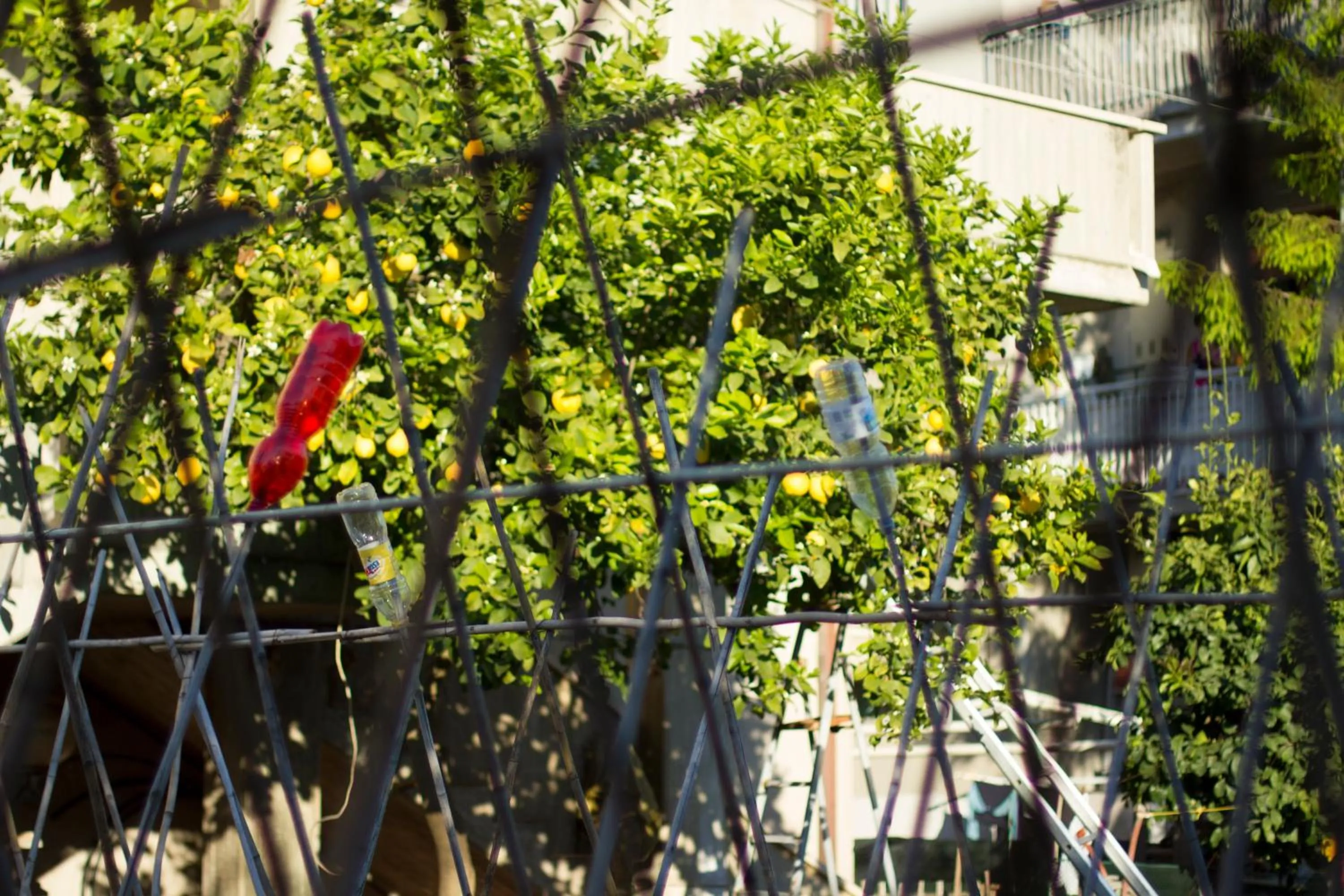 Property building in Arcobaleno B&B