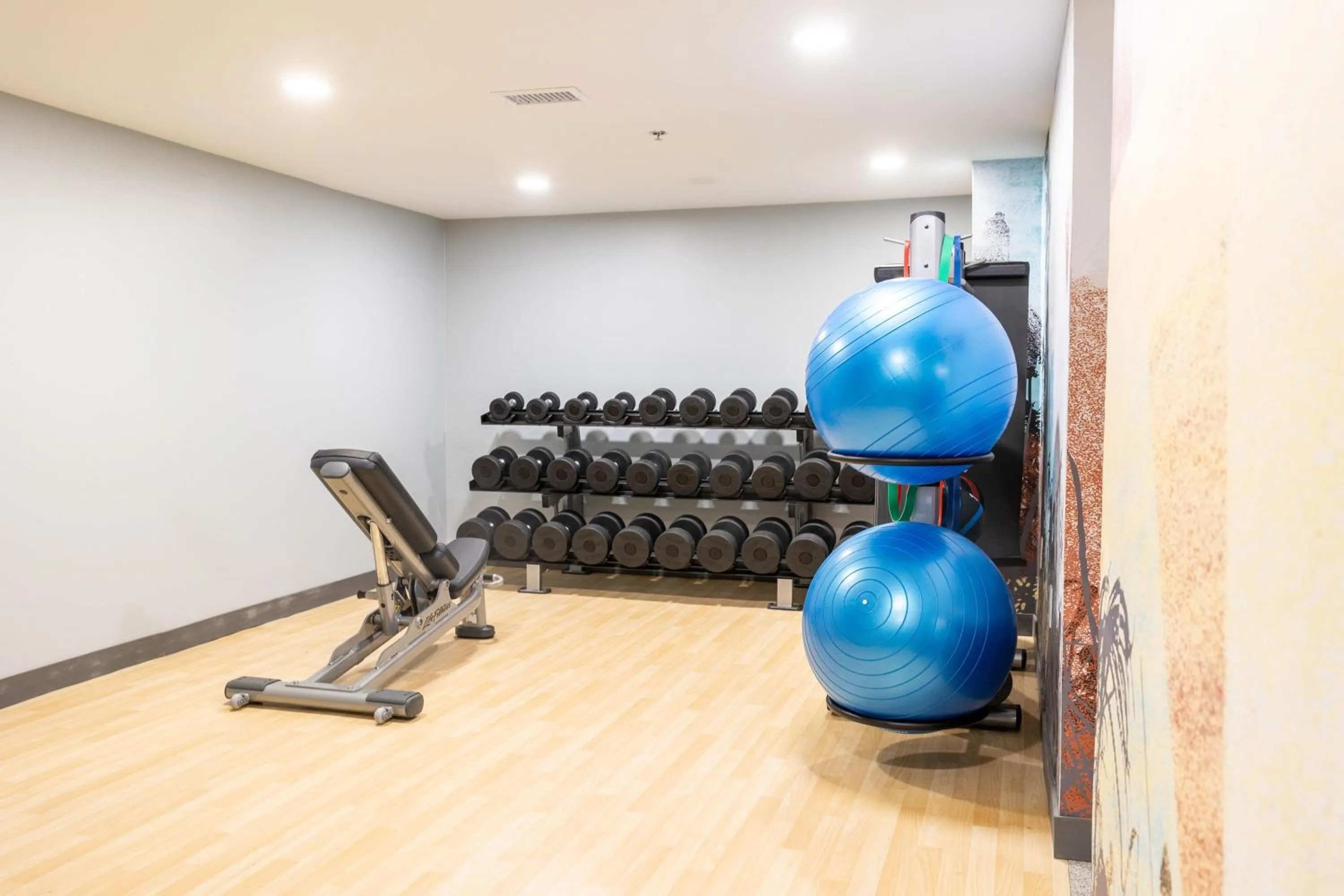 Fitness centre/facilities in DoubleTree by Hilton Austin, MN