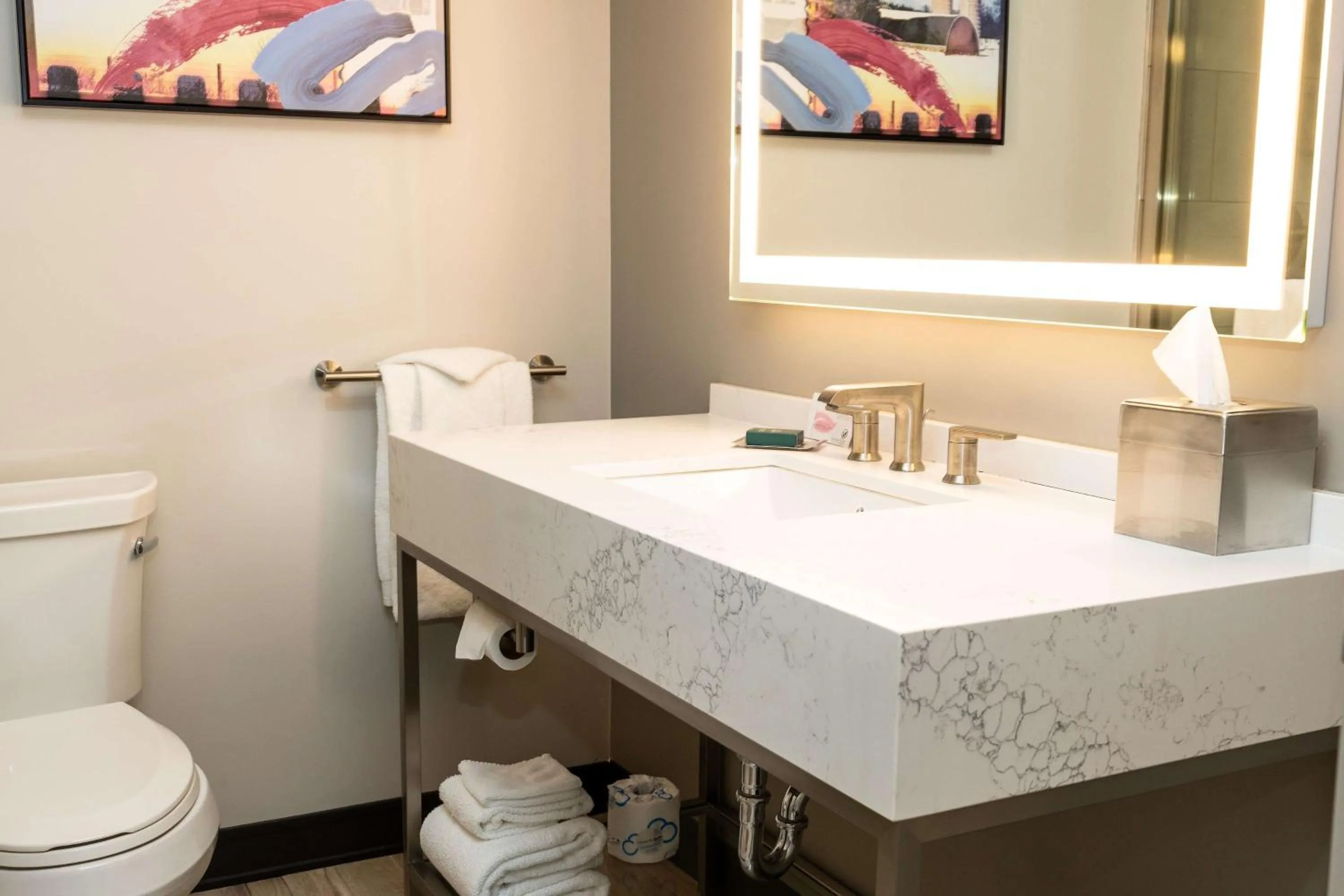 Bathroom in Holiday Inn Austin Conference Center, an IHG Hotel