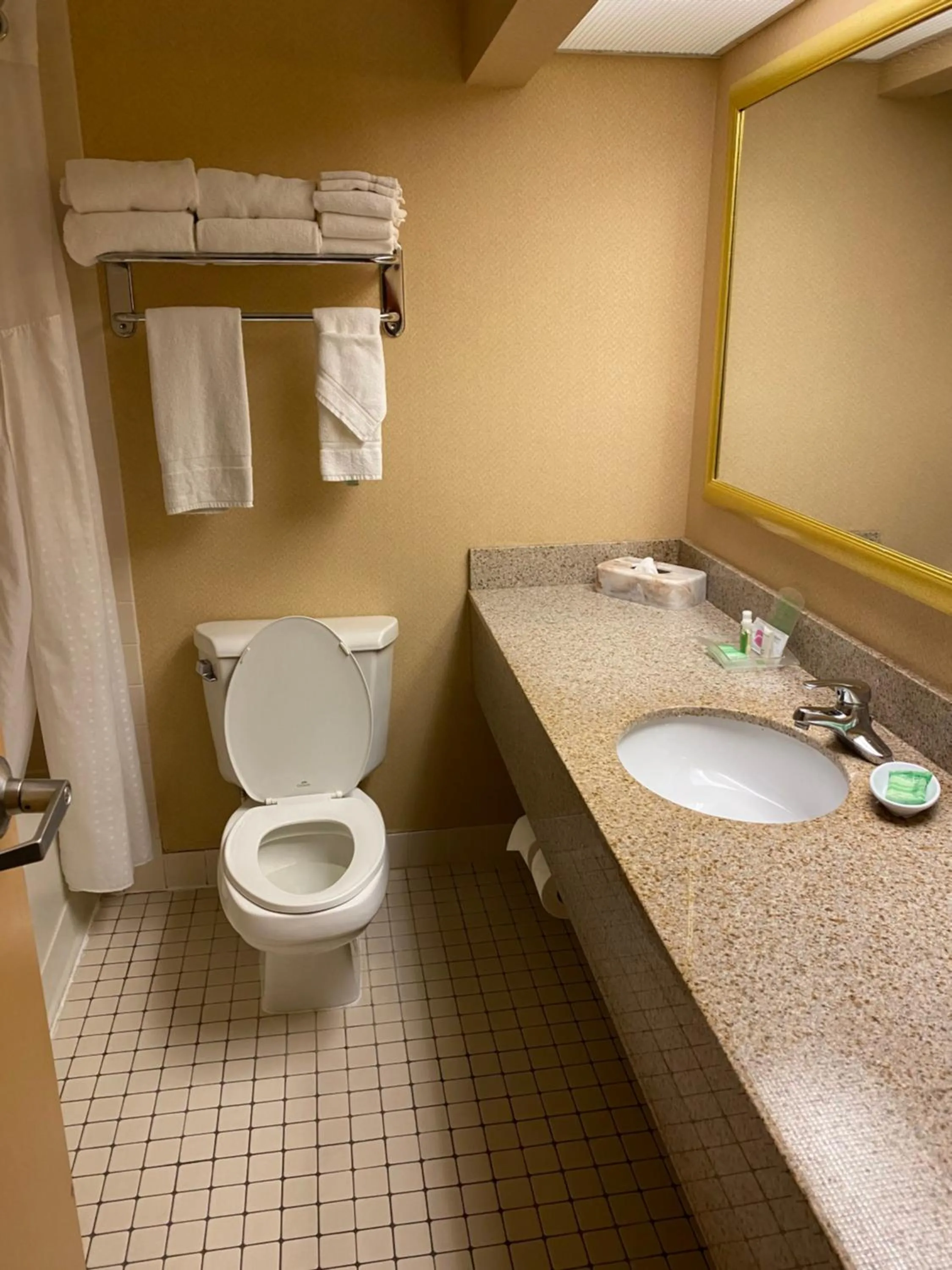 Bathroom in Holiday Inn Austin Conference Center, an IHG Hotel