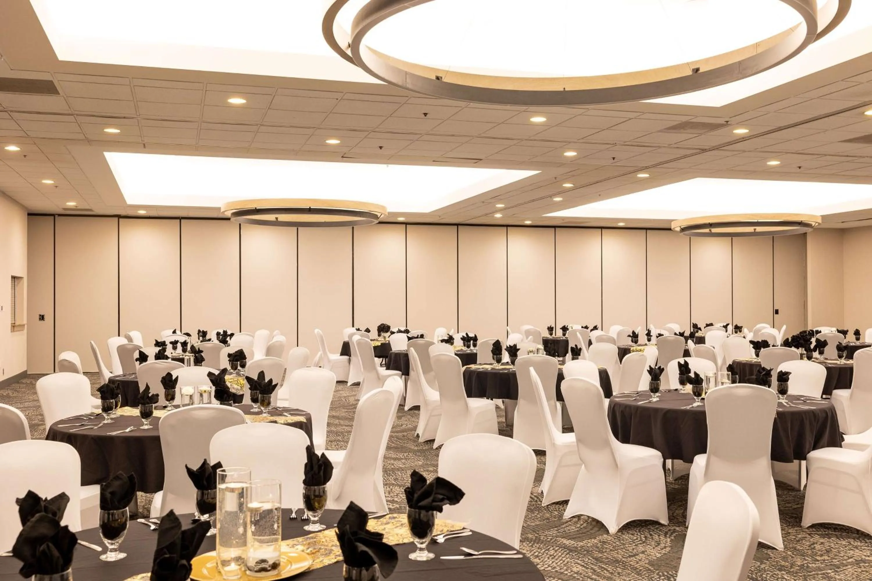 Meeting/conference room in Holiday Inn Austin Conference Center, an IHG Hotel