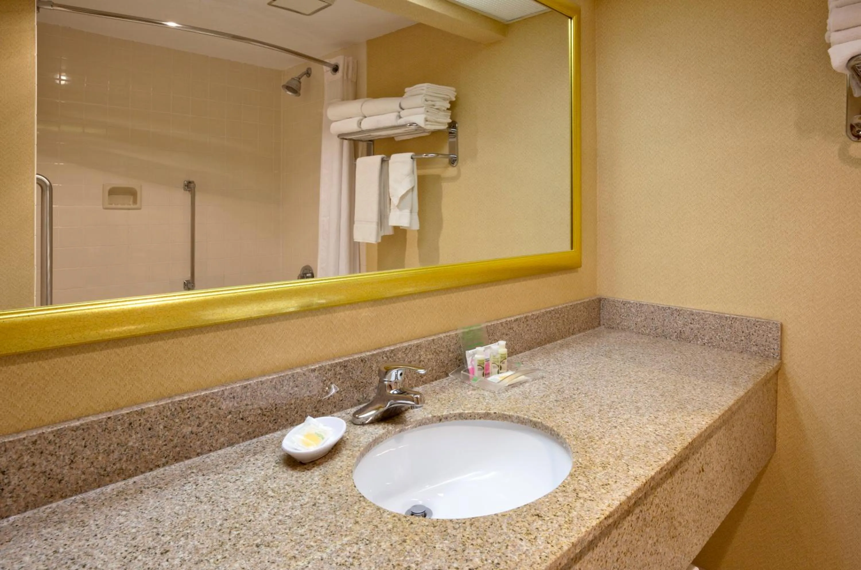 Bathroom in Holiday Inn Austin Conference Center, an IHG Hotel