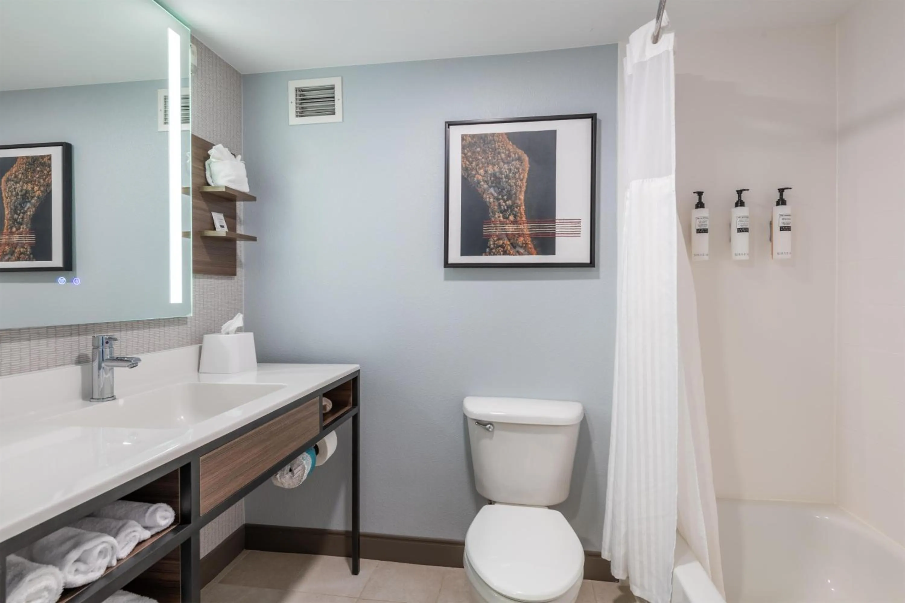 Bathroom in Hilton Garden Inn Auburn Riverwatch