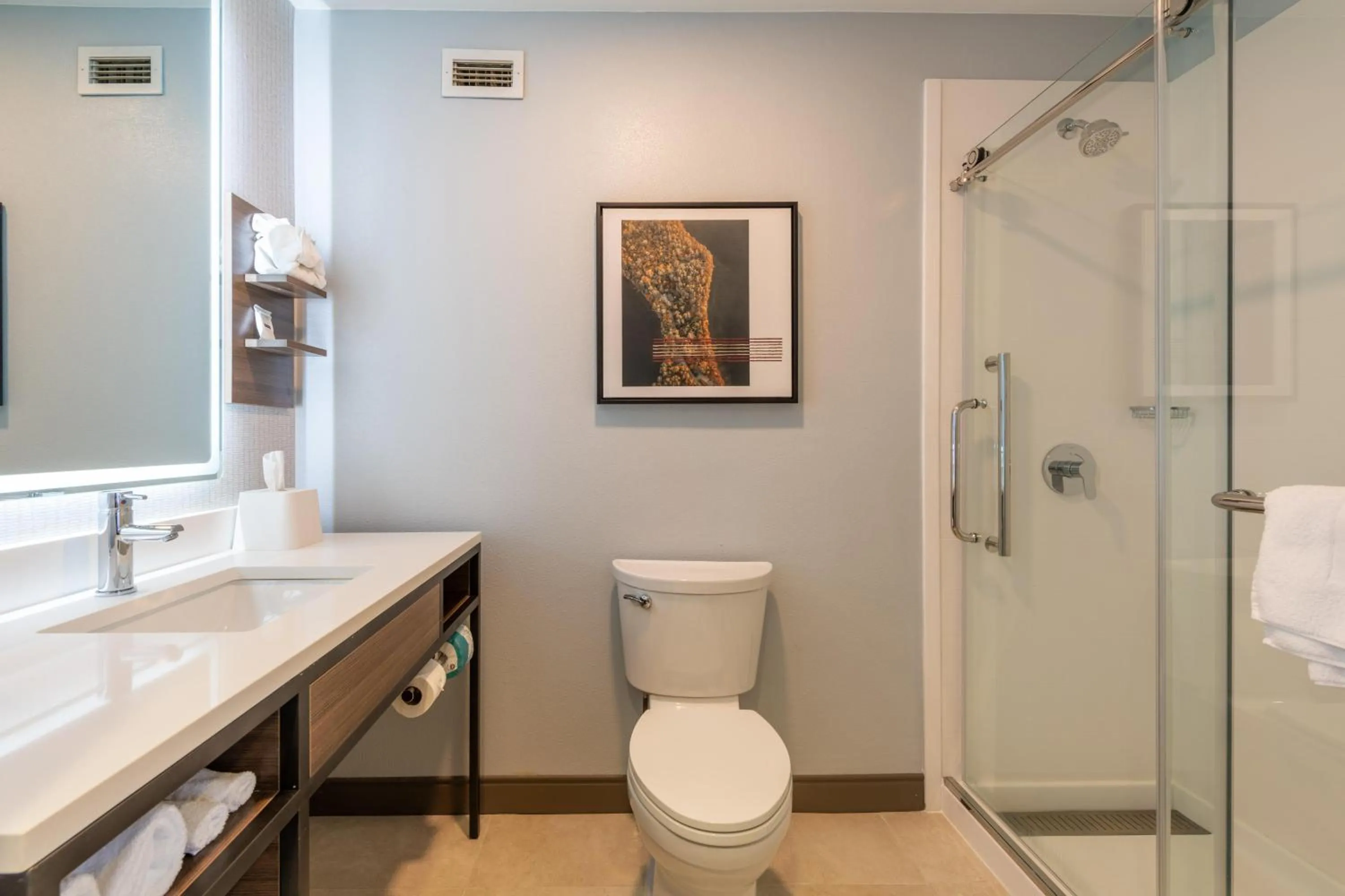 Bathroom in Hilton Garden Inn Auburn Riverwatch