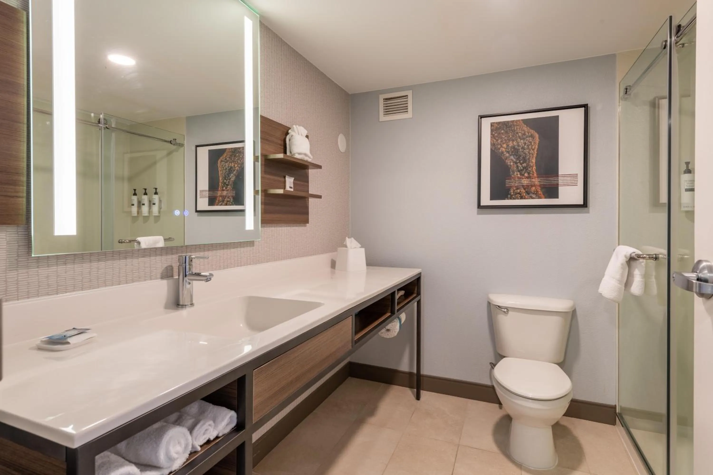 Bathroom in Hilton Garden Inn Auburn Riverwatch