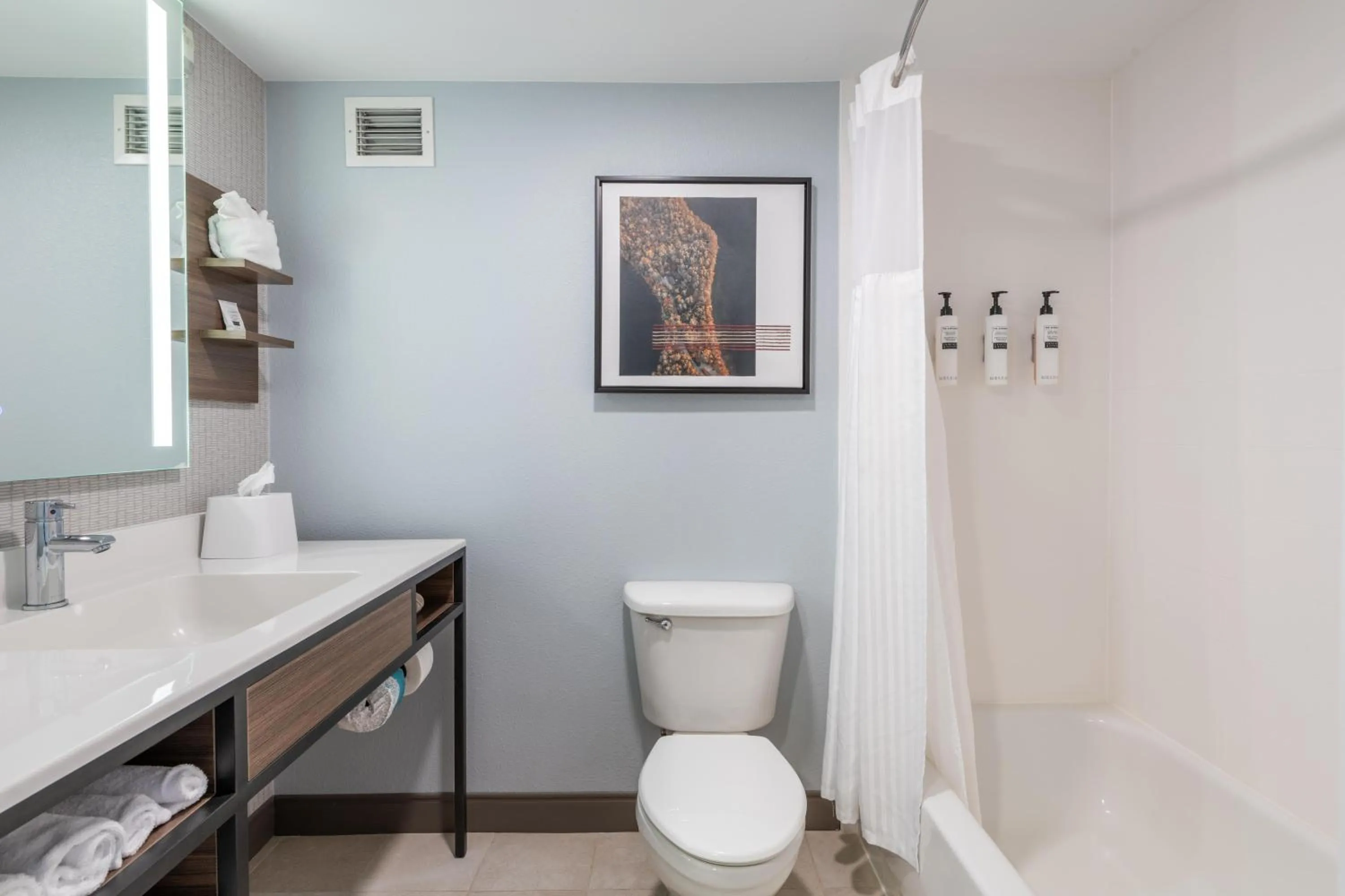 Bathroom in Hilton Garden Inn Auburn Riverwatch