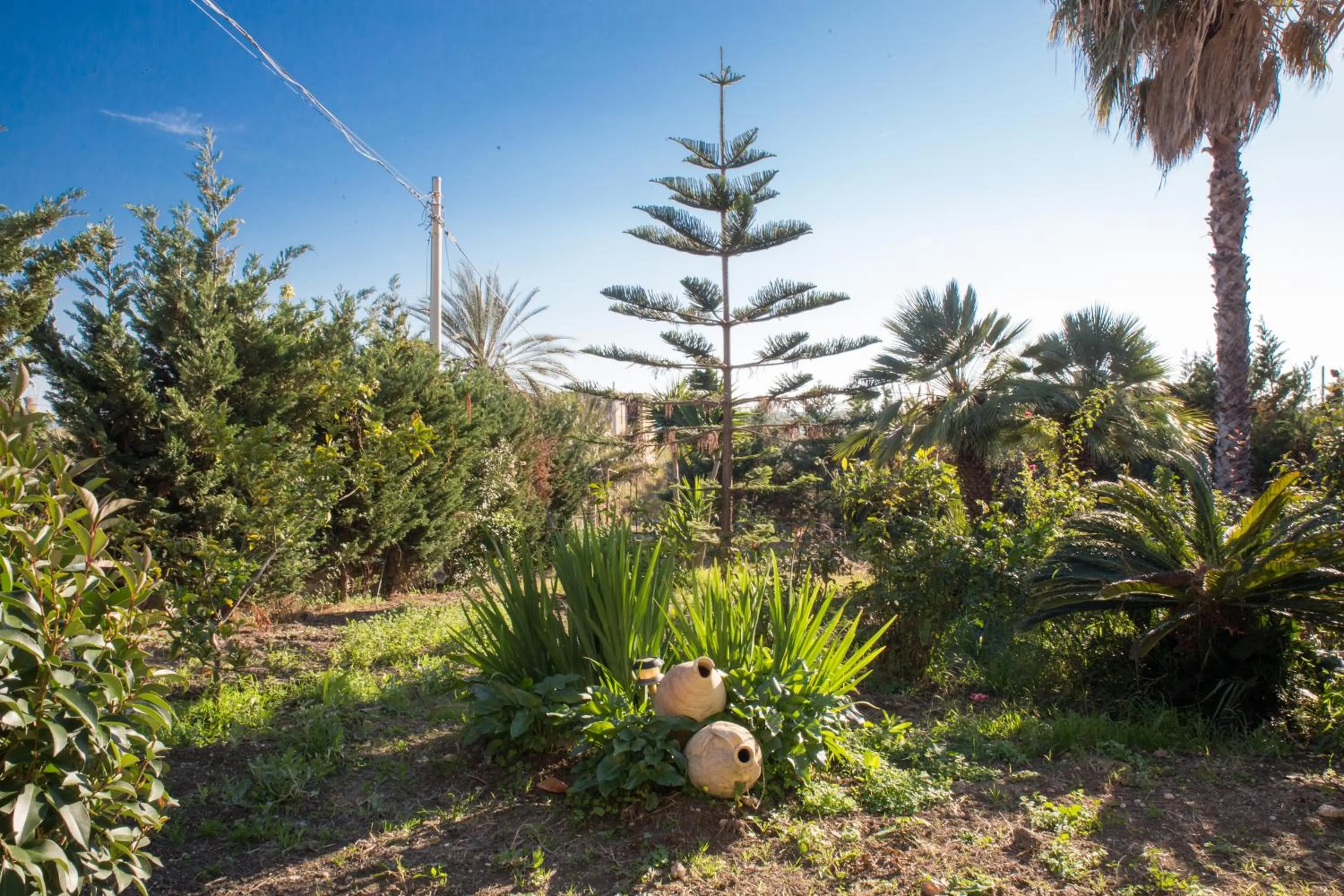 Natural landscape in B&B La Veranda