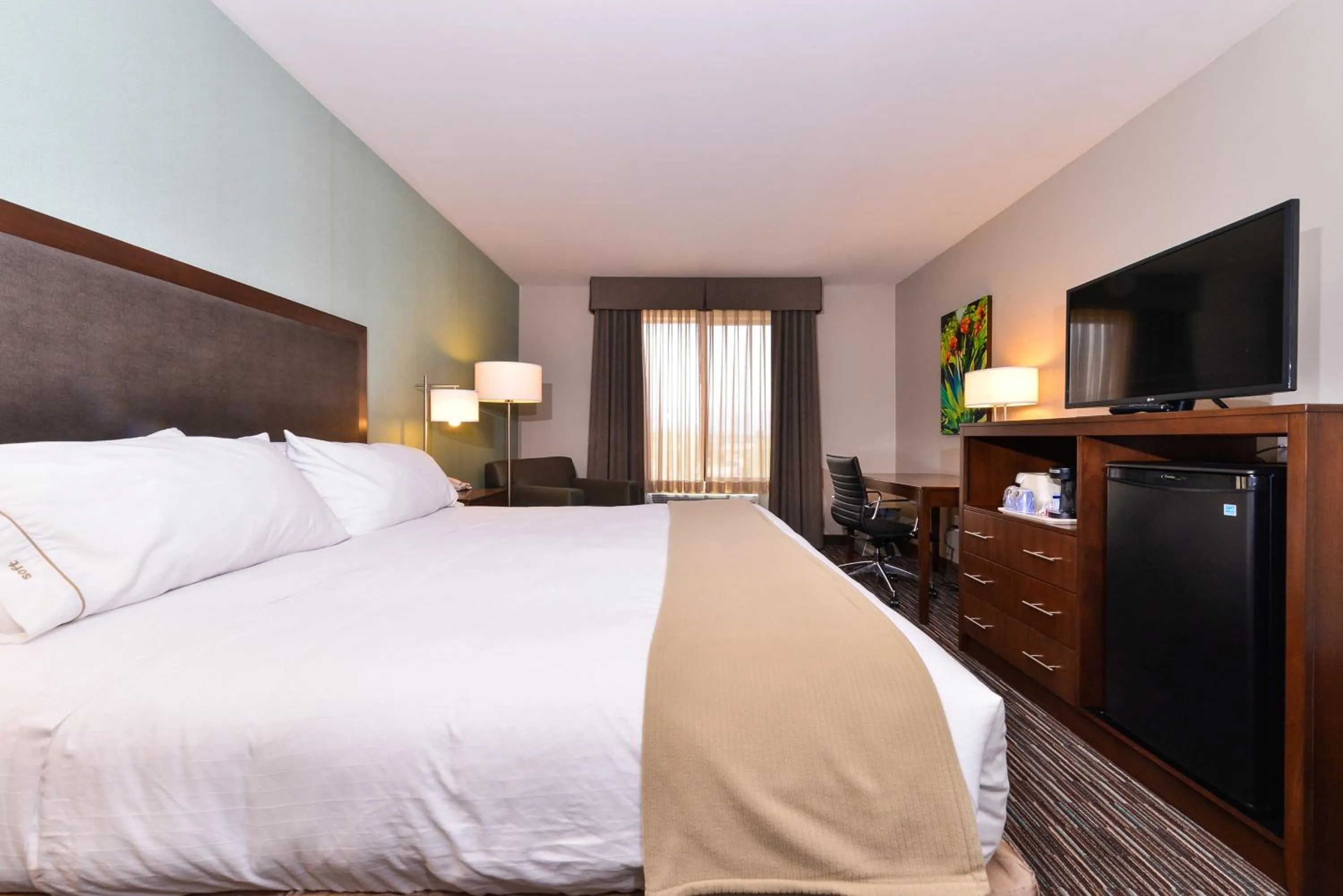 Photo of the whole room, Bed in Holiday Inn Express & Suites Indio - Coachella Valley by IHG