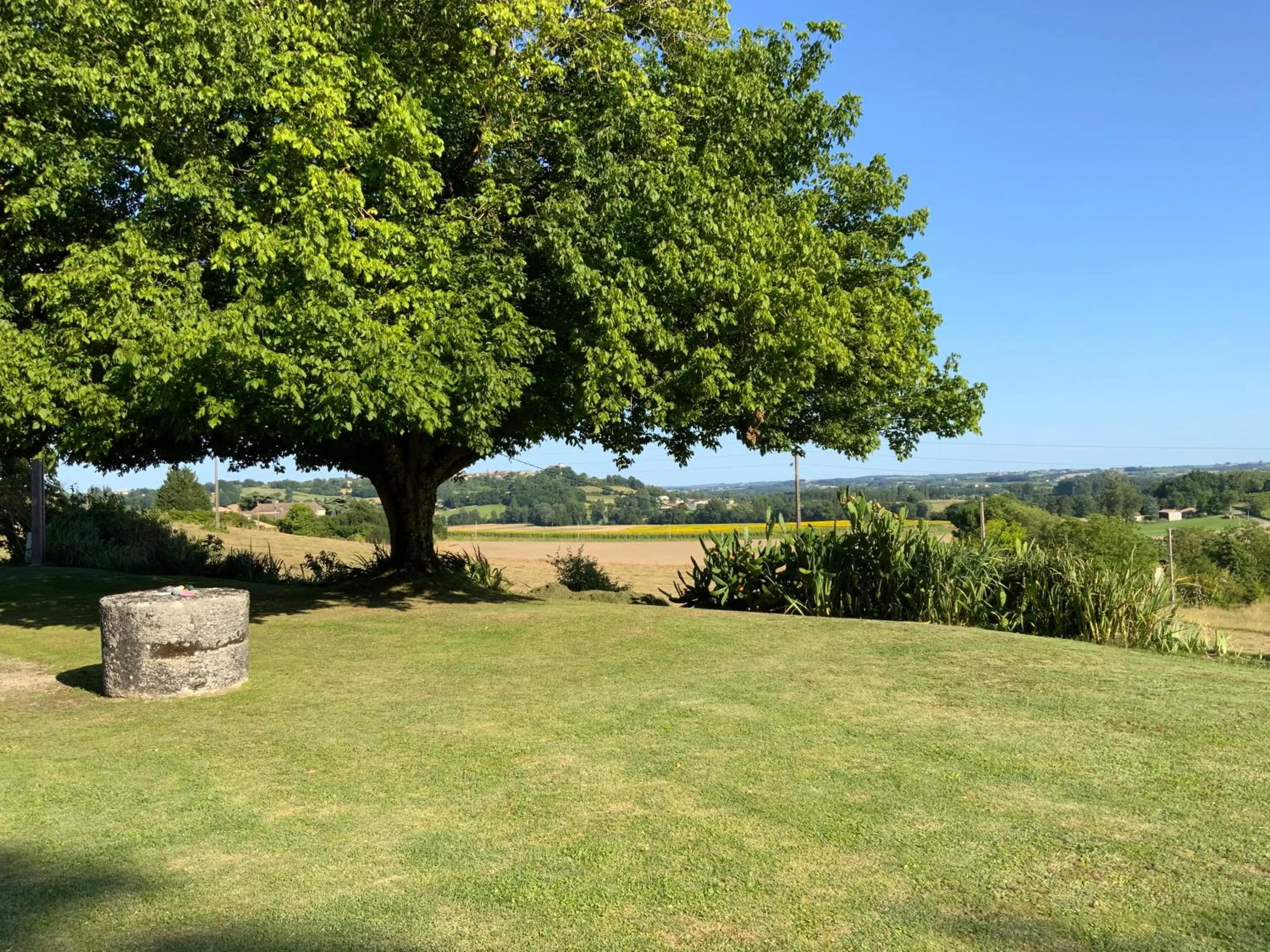 Garden view in Labarthe
