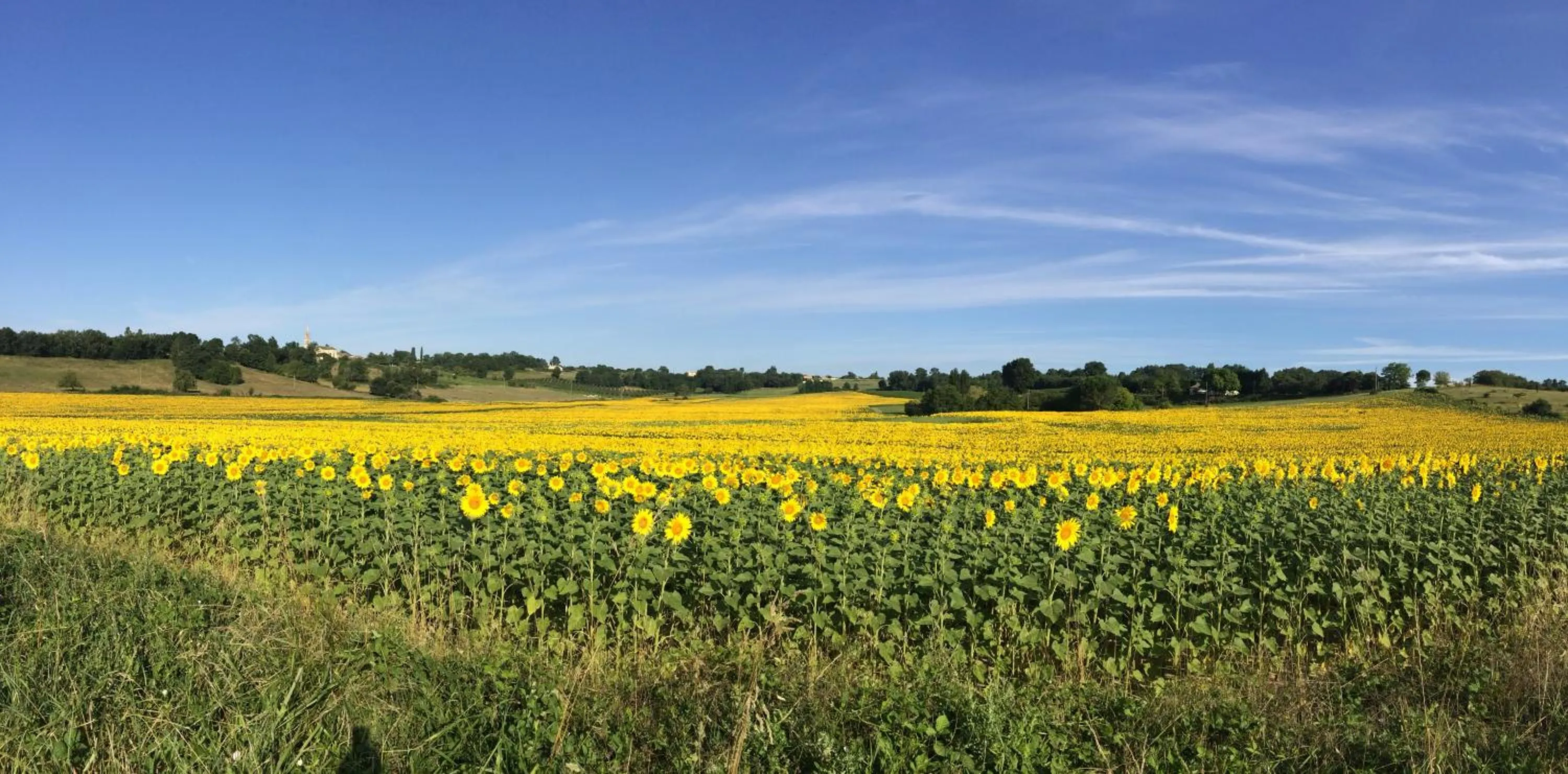 View (from property/room) in Labarthe
