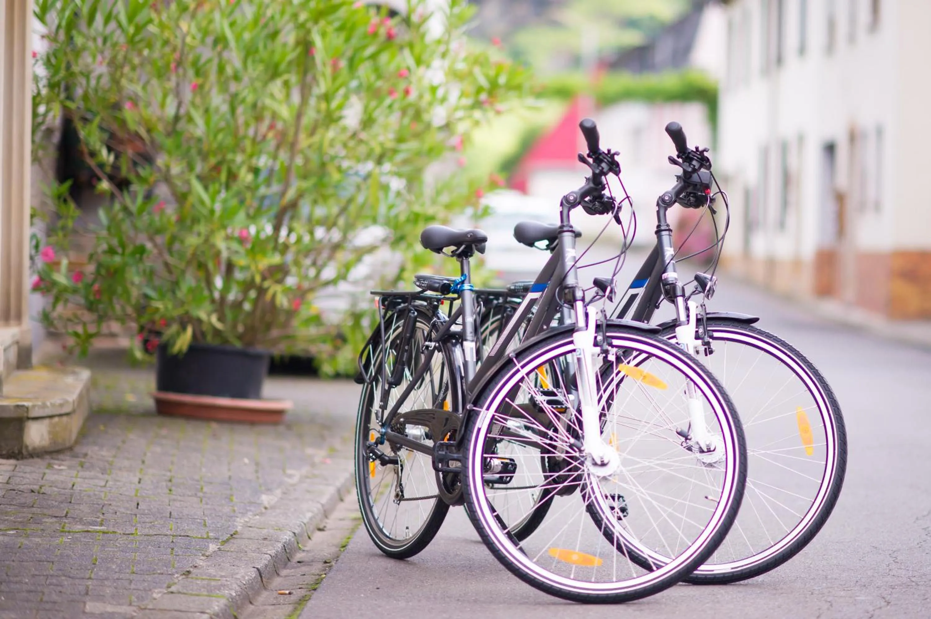 Other in Gästehaus C.H.Berres Ürzig-Mosel