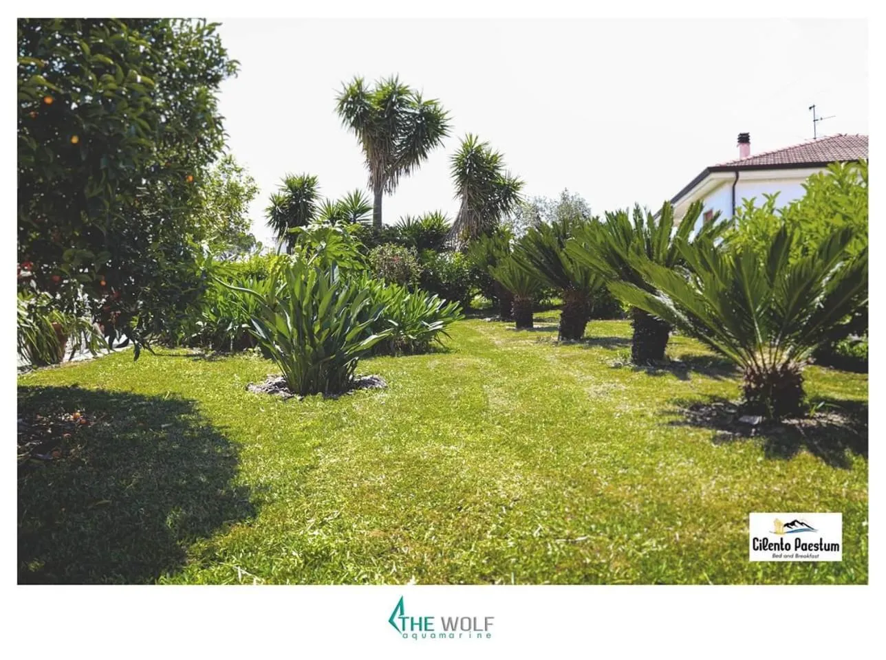 Garden in B&b Cilento Paestum