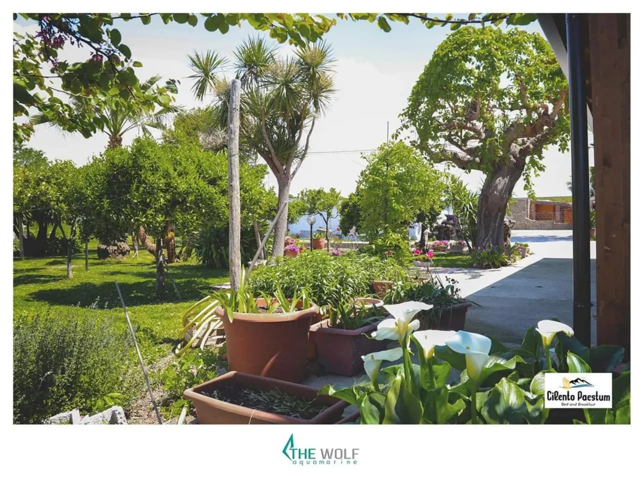 Day in B&b Cilento Paestum