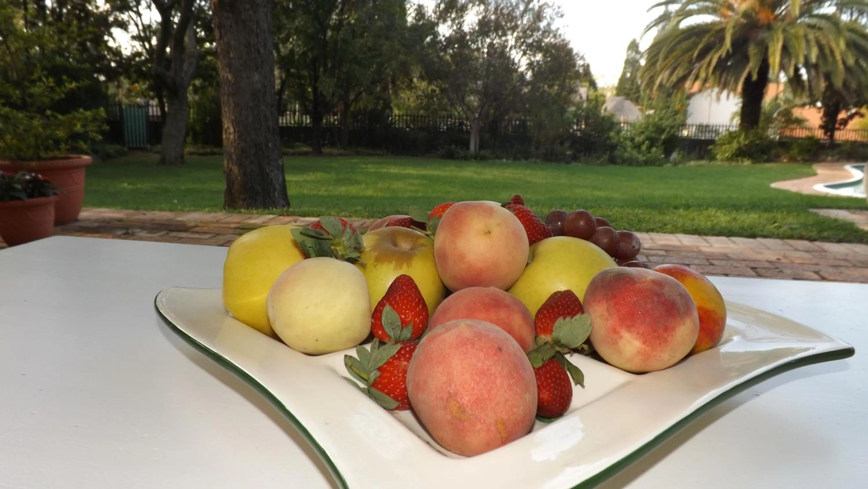 Food close-up in Tiree B&B