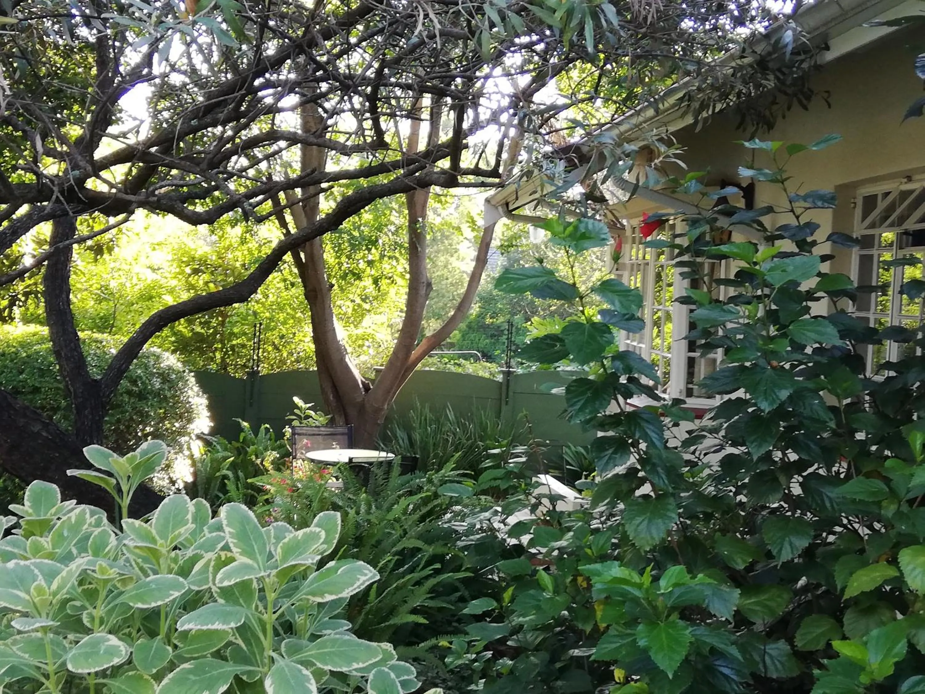 Garden view in Tiree B&B