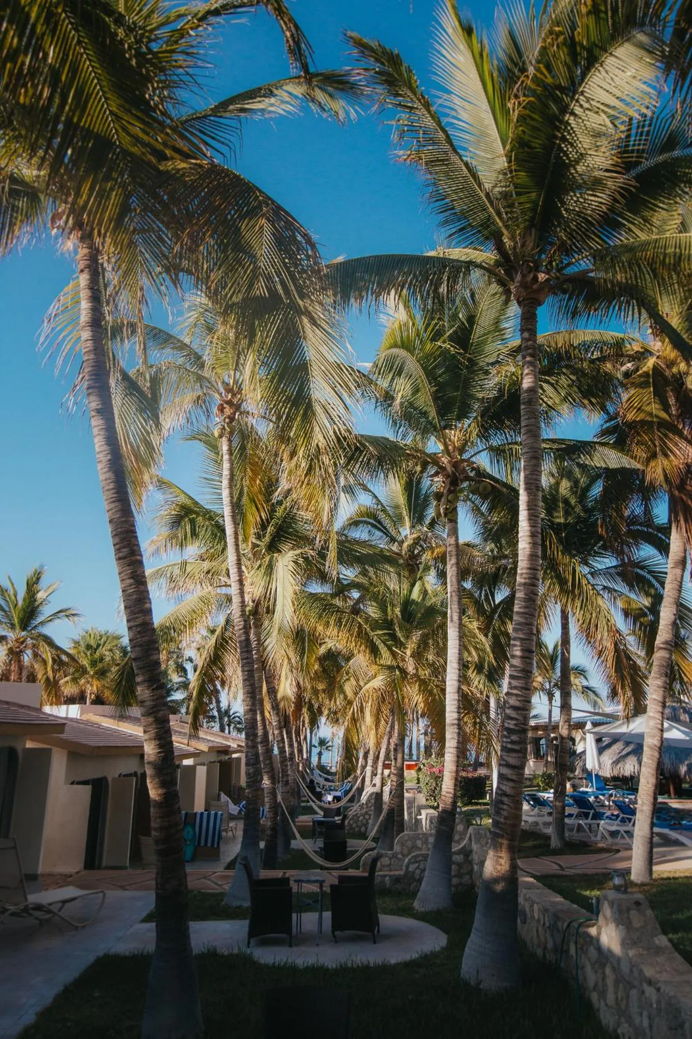 Patio in Buena Vista Oceanfront & Hot Springs Resort