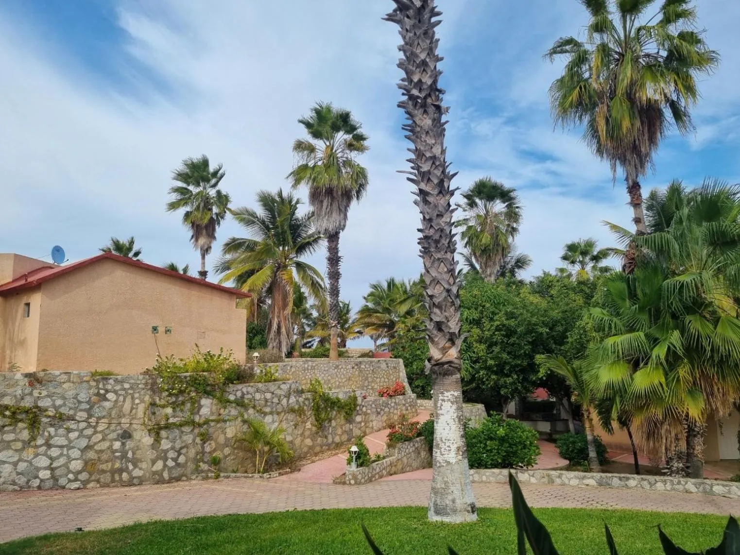 Natural landscape in Buena Vista Oceanfront & Hot Springs Resort