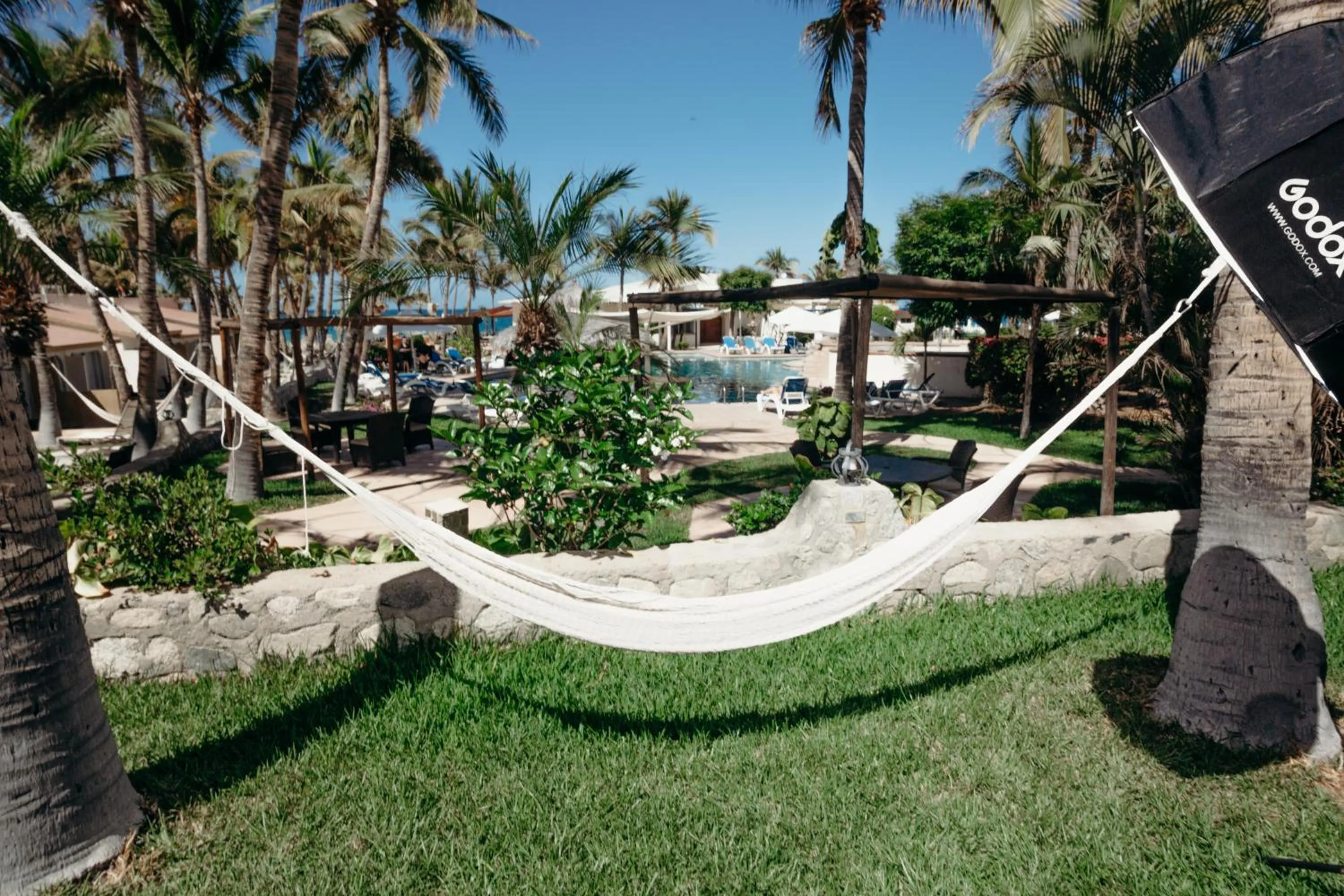 Garden view in Buena Vista Oceanfront & Hot Springs Resort