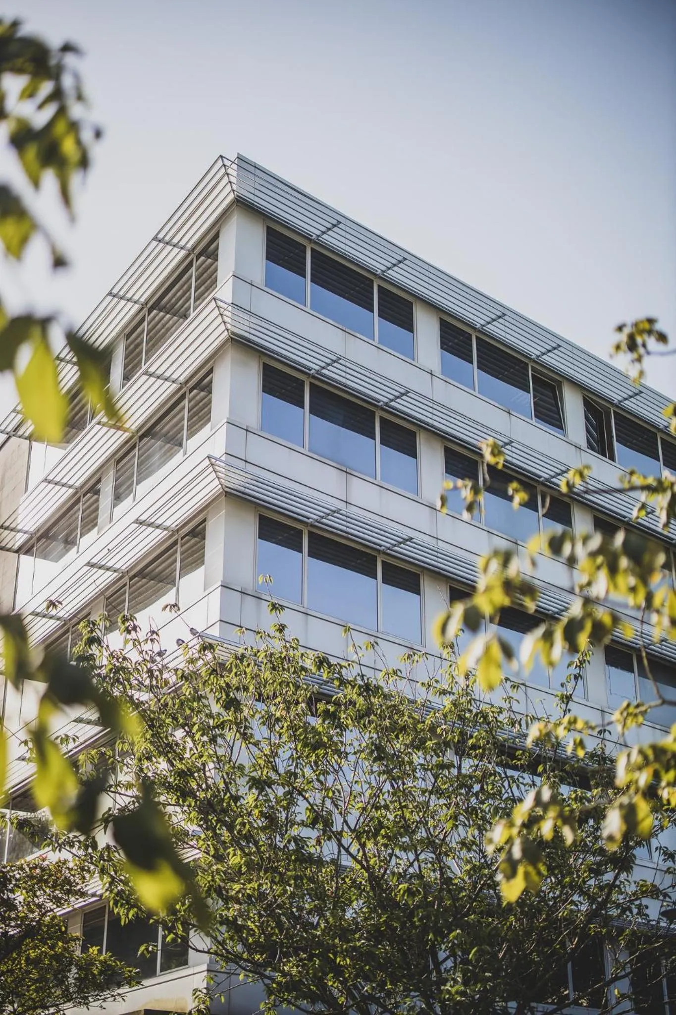 Pensión Riberas del Urumea