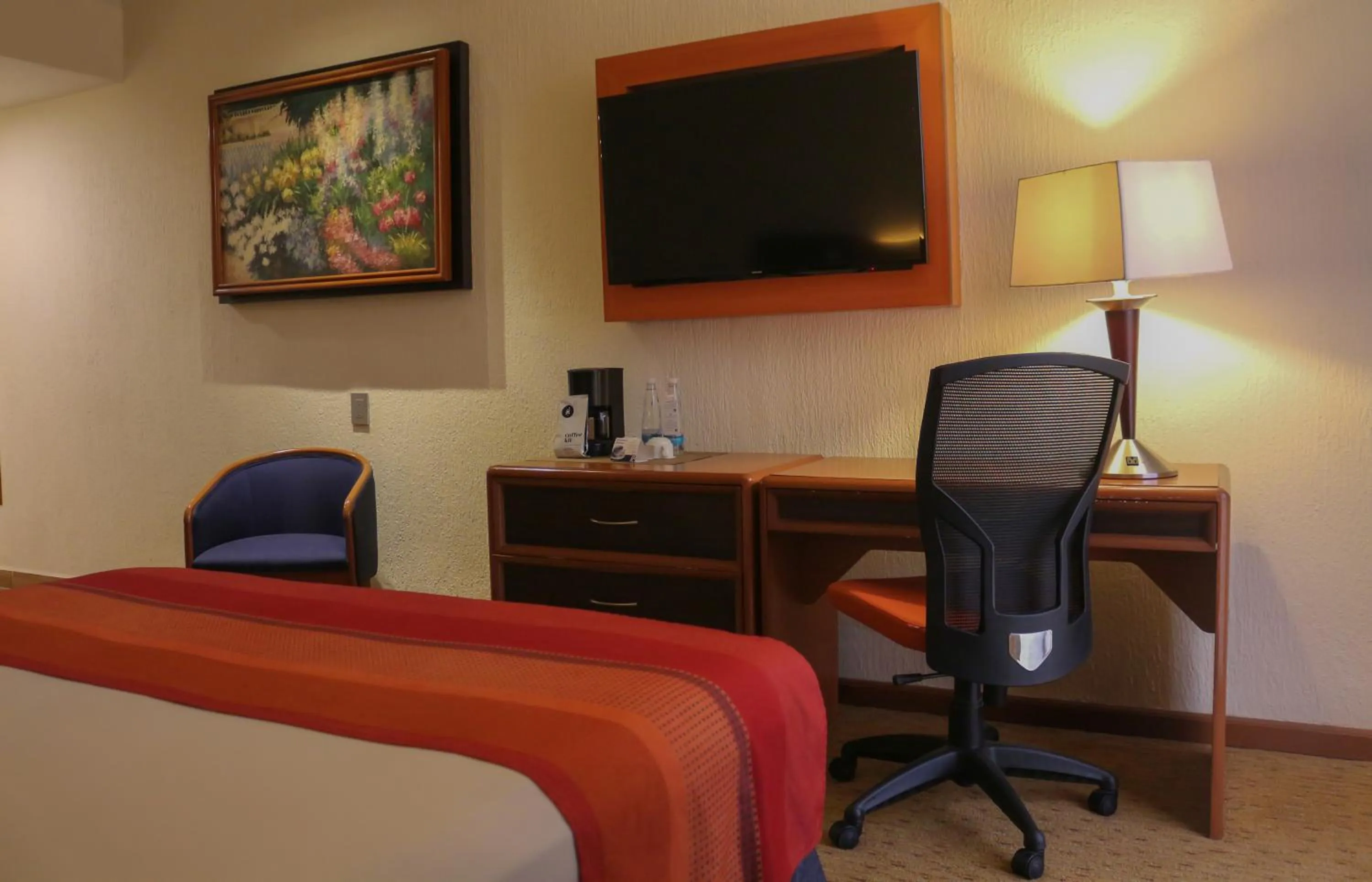 TV and multimedia in Hotel Guadalajara Plaza Expo