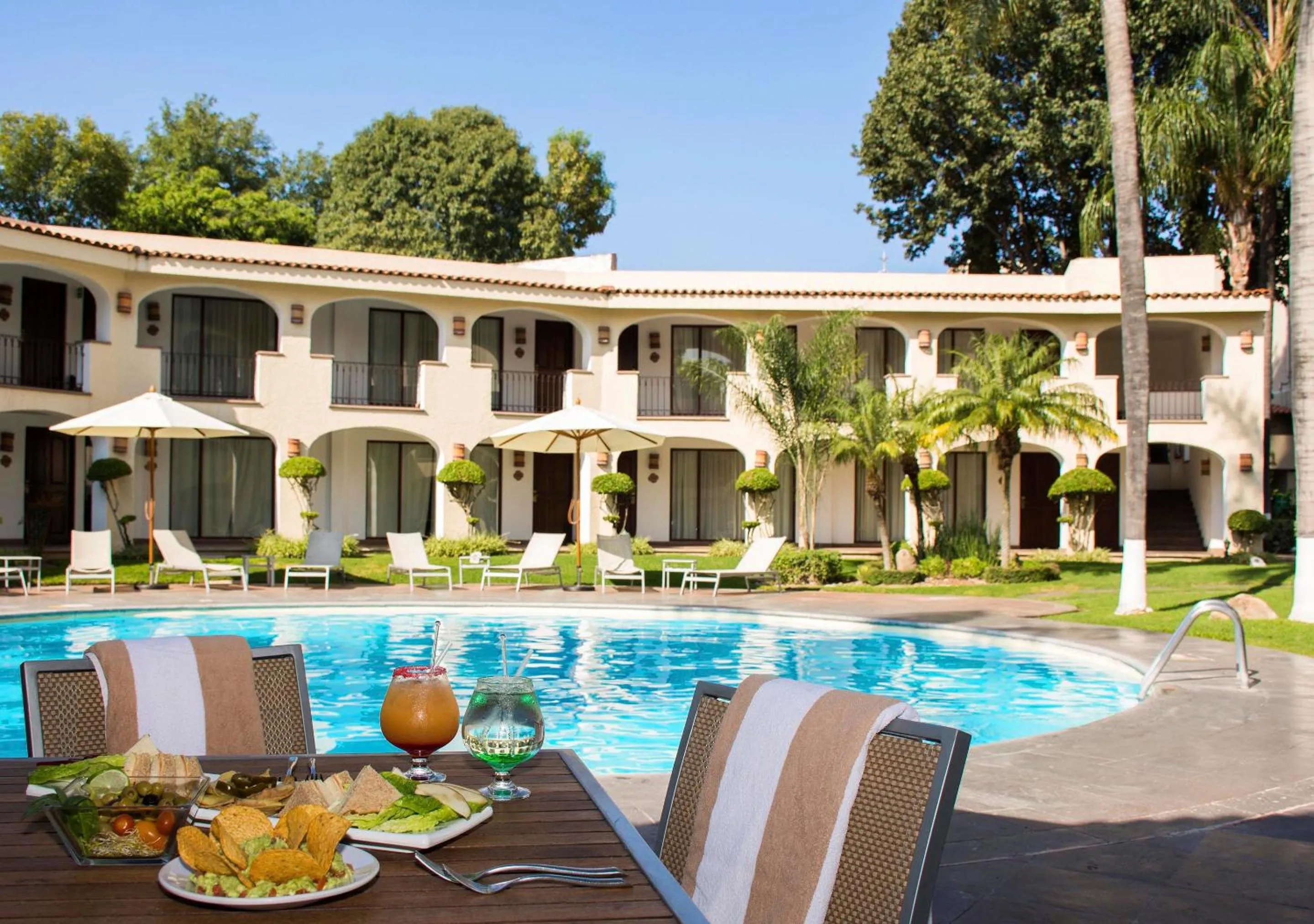Garden in Hotel Guadalajara Plaza Ejecutivo