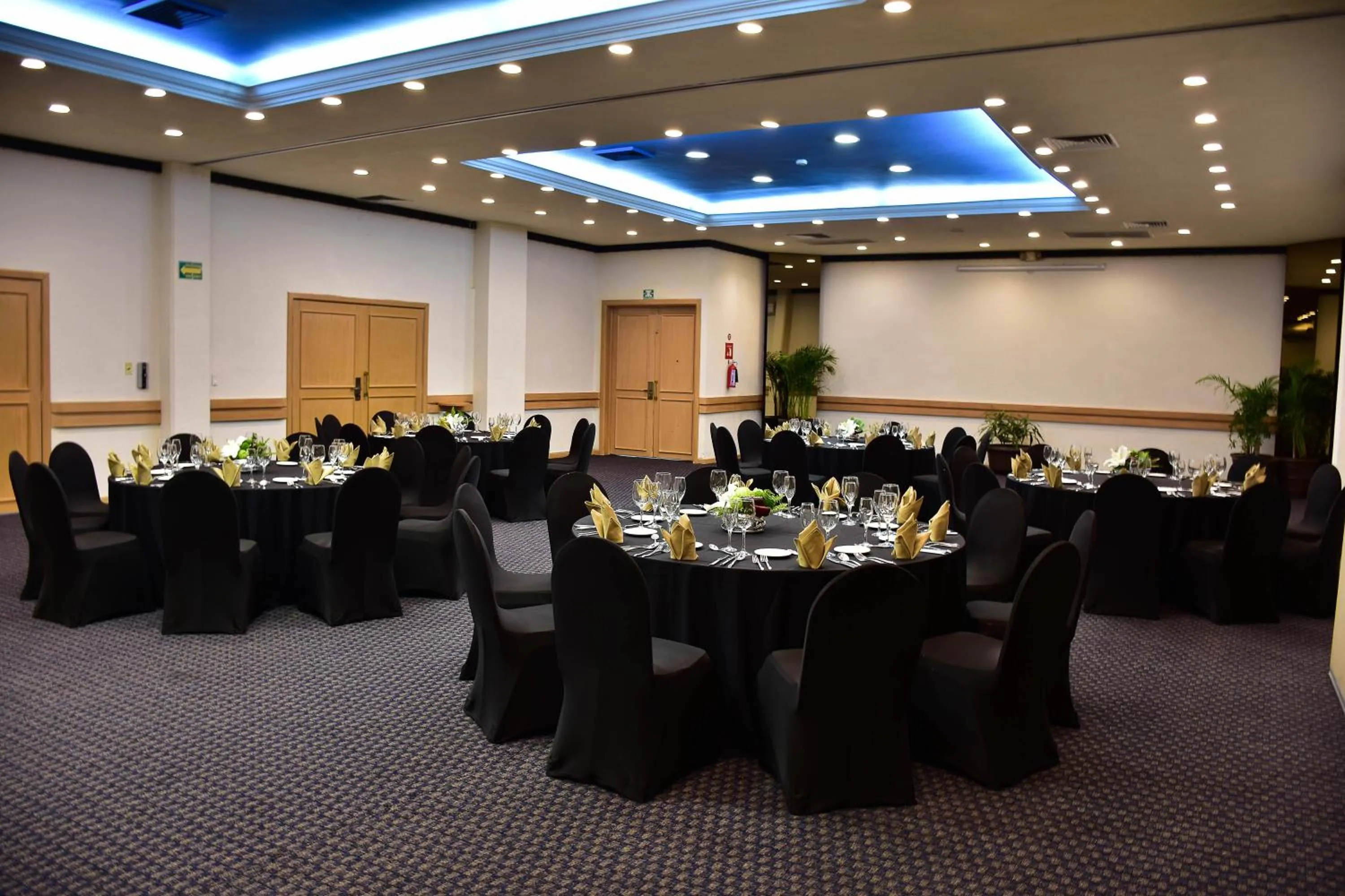 Banquet/Function facilities in Hotel Guadalajara Plaza Ejecutivo