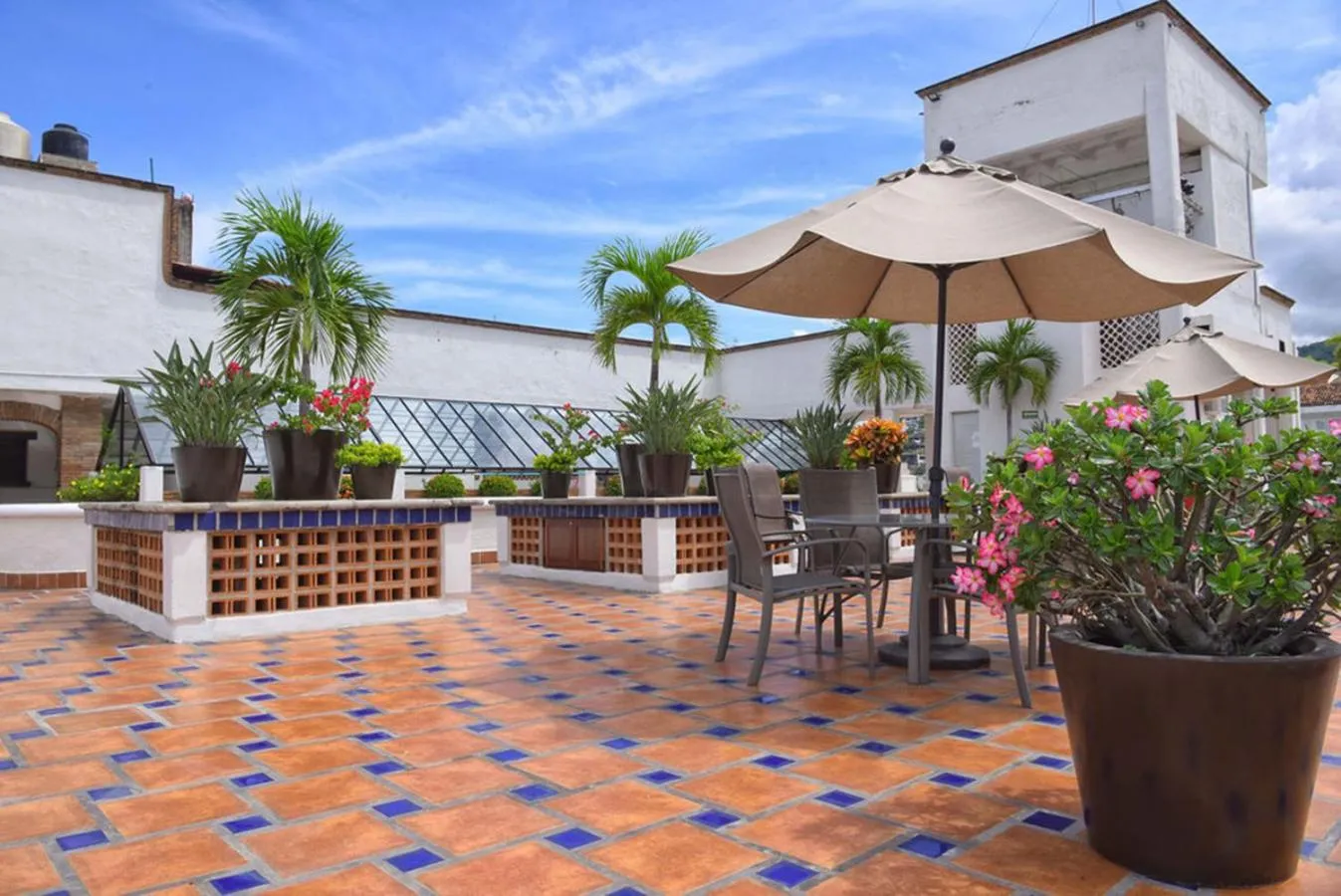 Balcony/Terrace in Hotel Eloisa