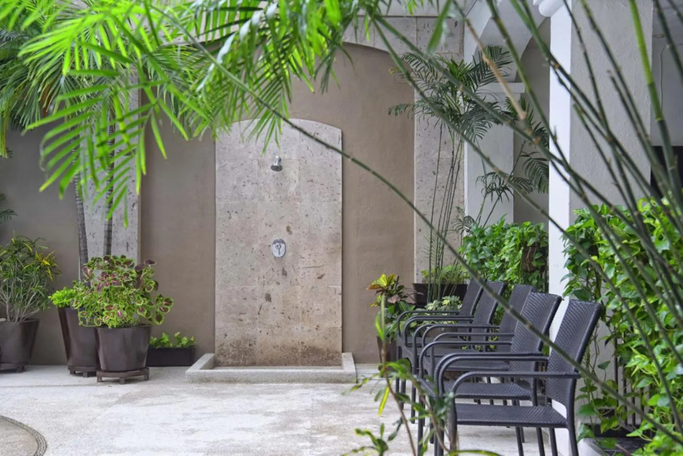 Garden in Hotel Eloisa