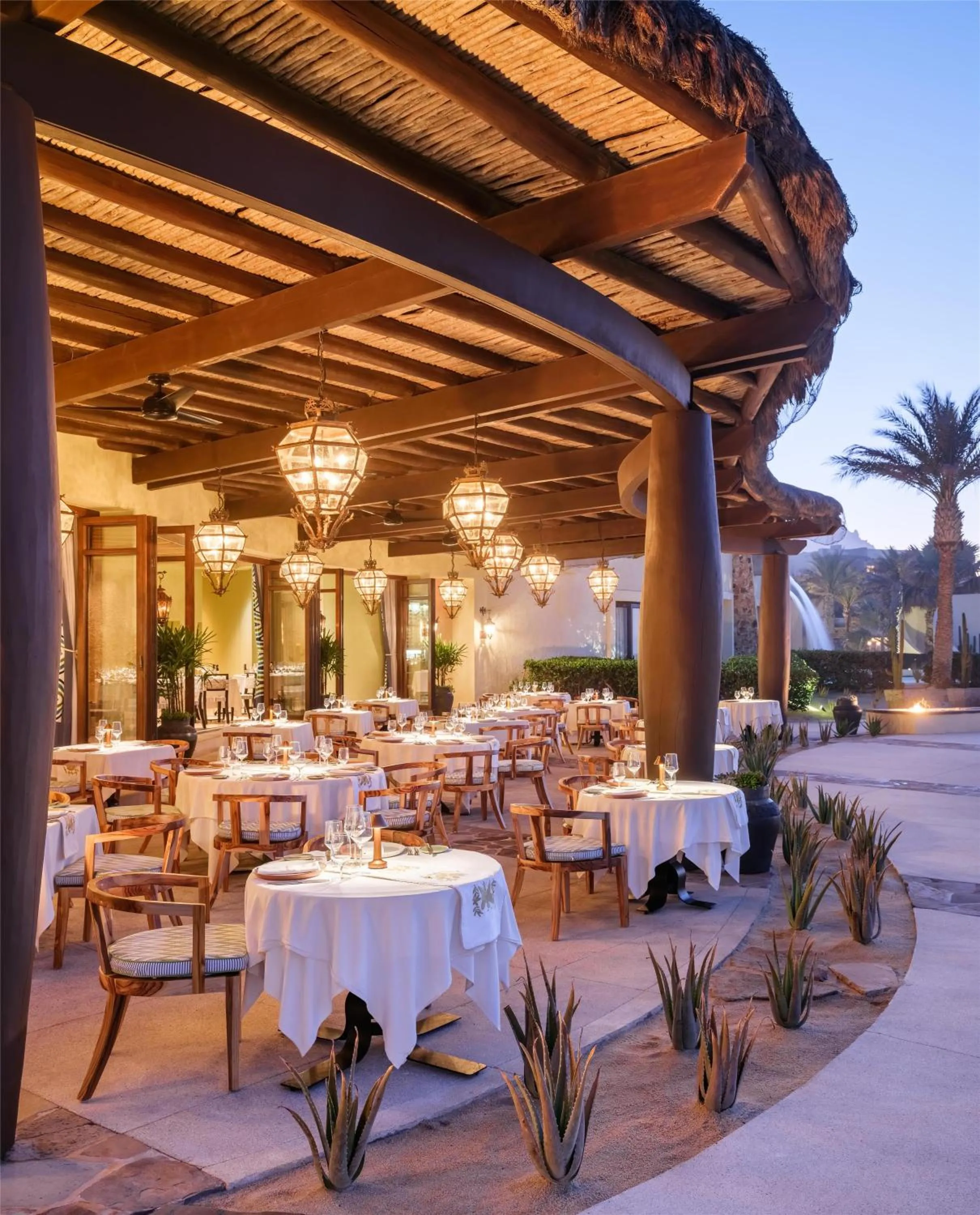 Restaurant/places to eat in Waldorf Astoria Los Cabos Pedregal