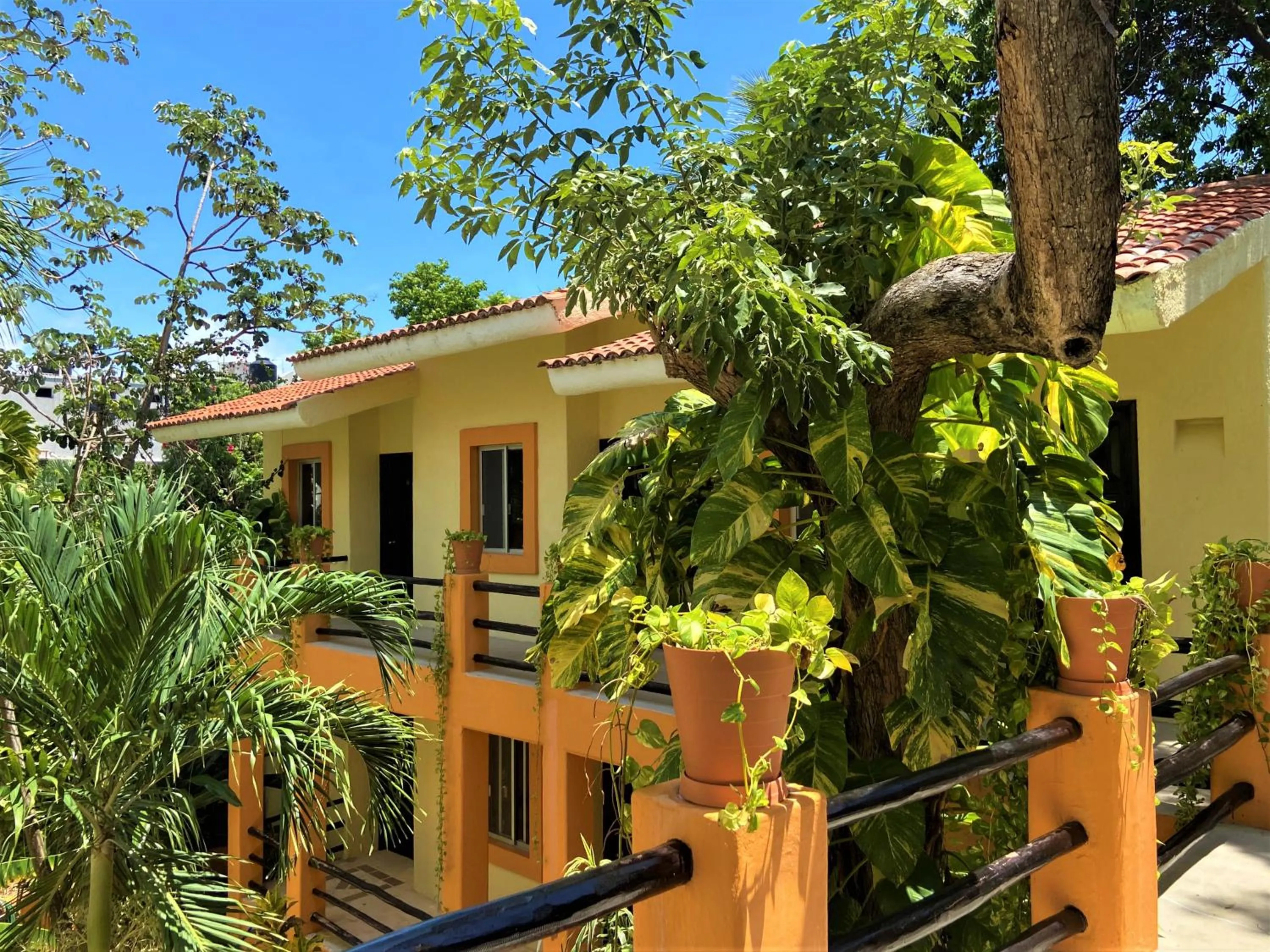 Garden view in Hotel LunaSol