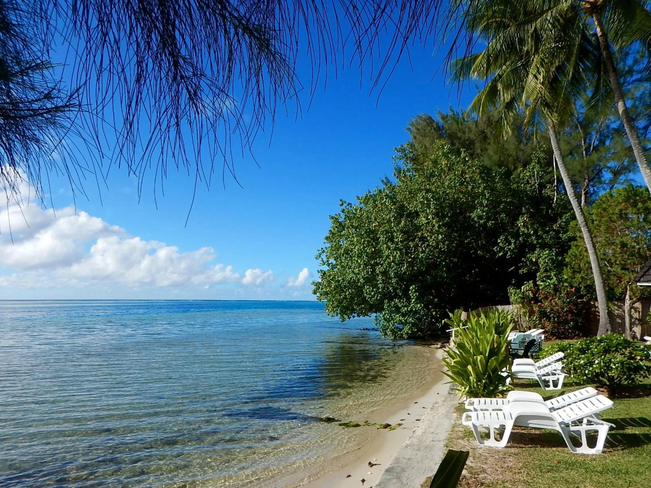 Beach in Poerani Moorea