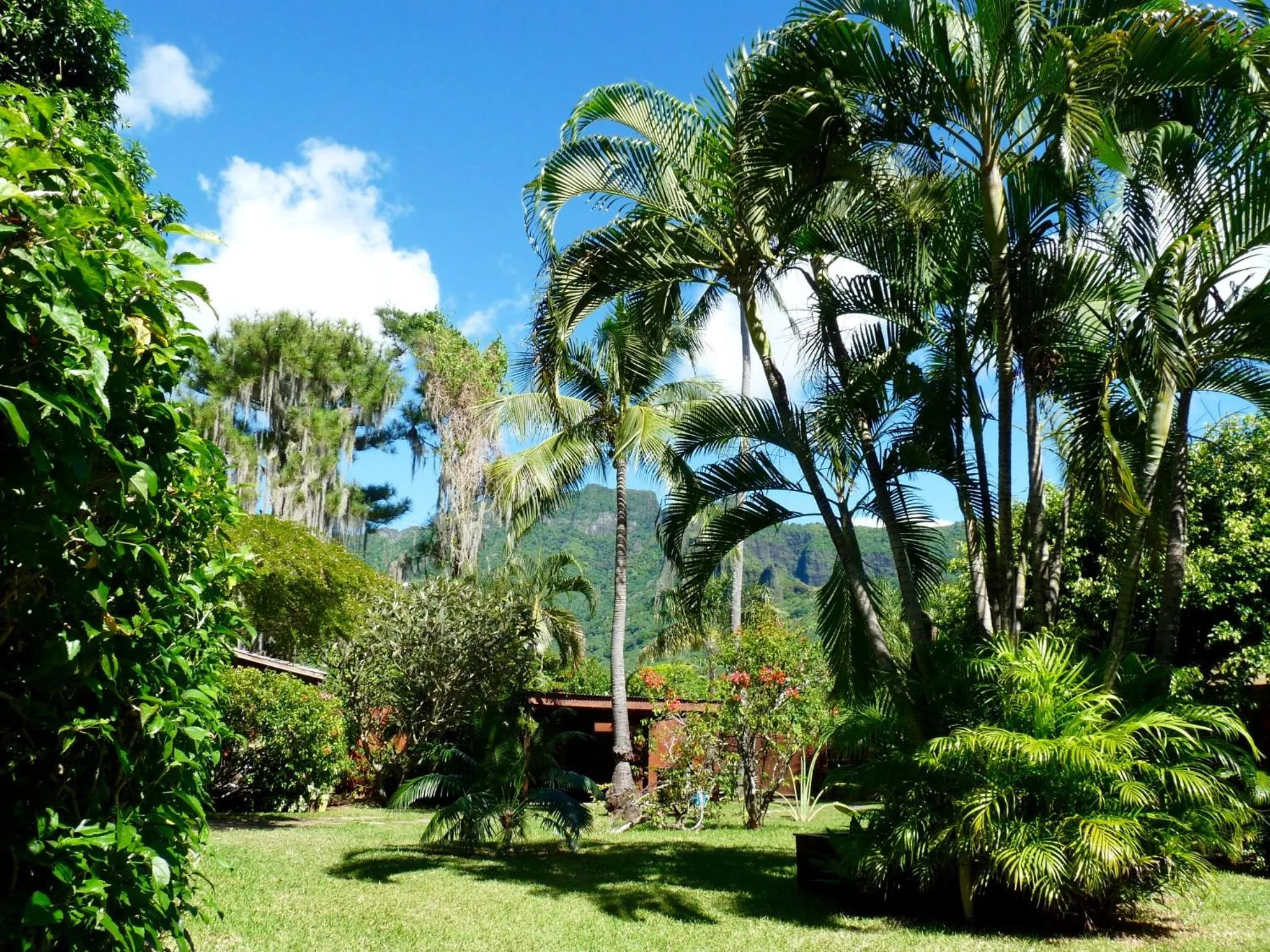 Garden in Poerani Moorea