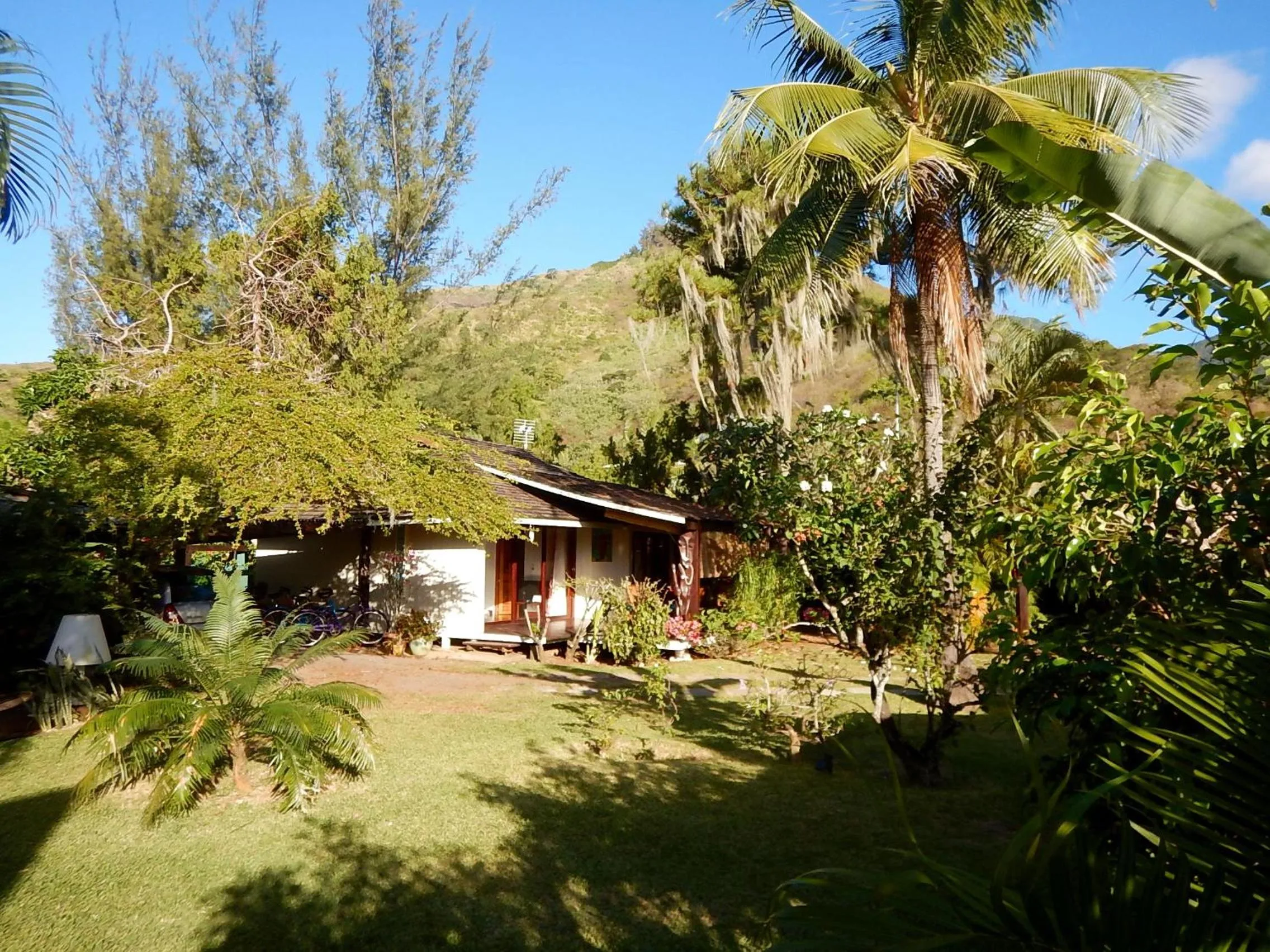Natural landscape in Poerani Moorea