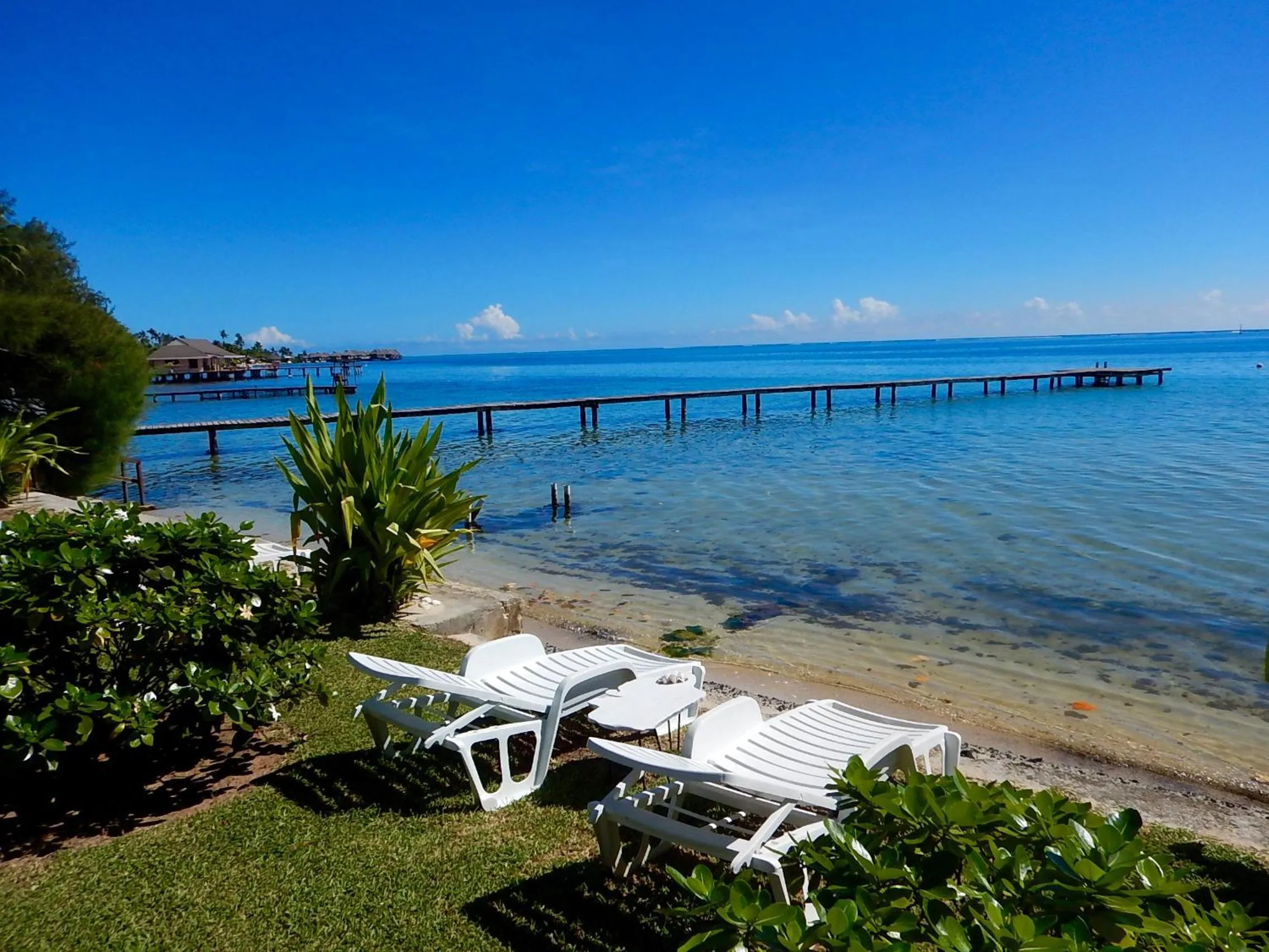Garden in Poerani Moorea