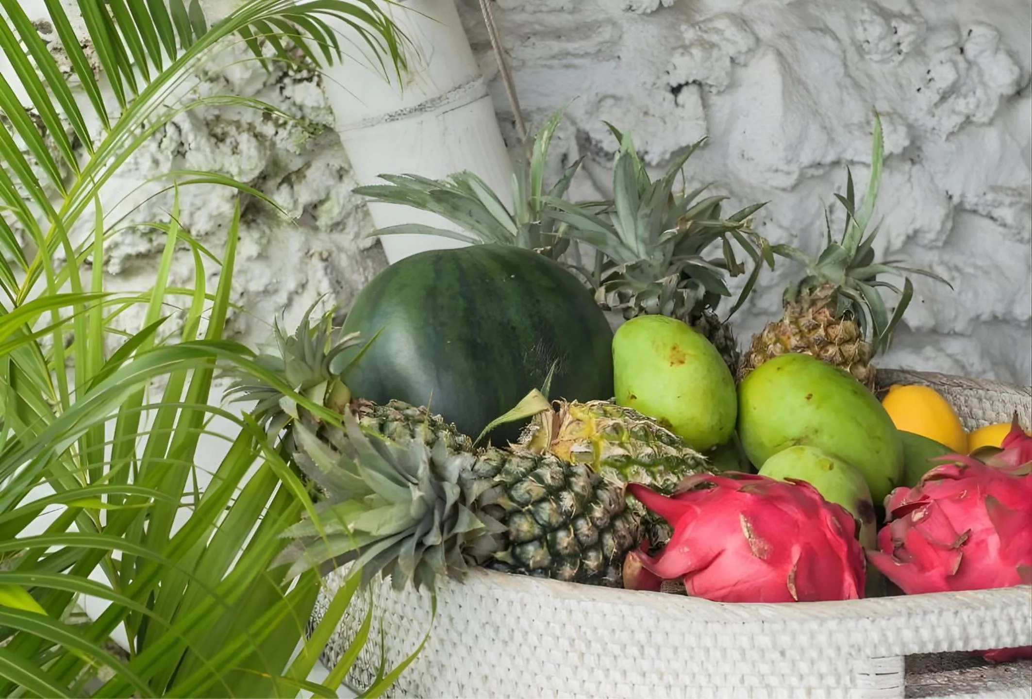 Decorative detail in Gravity Eco Boutique Hotel - Adults Only