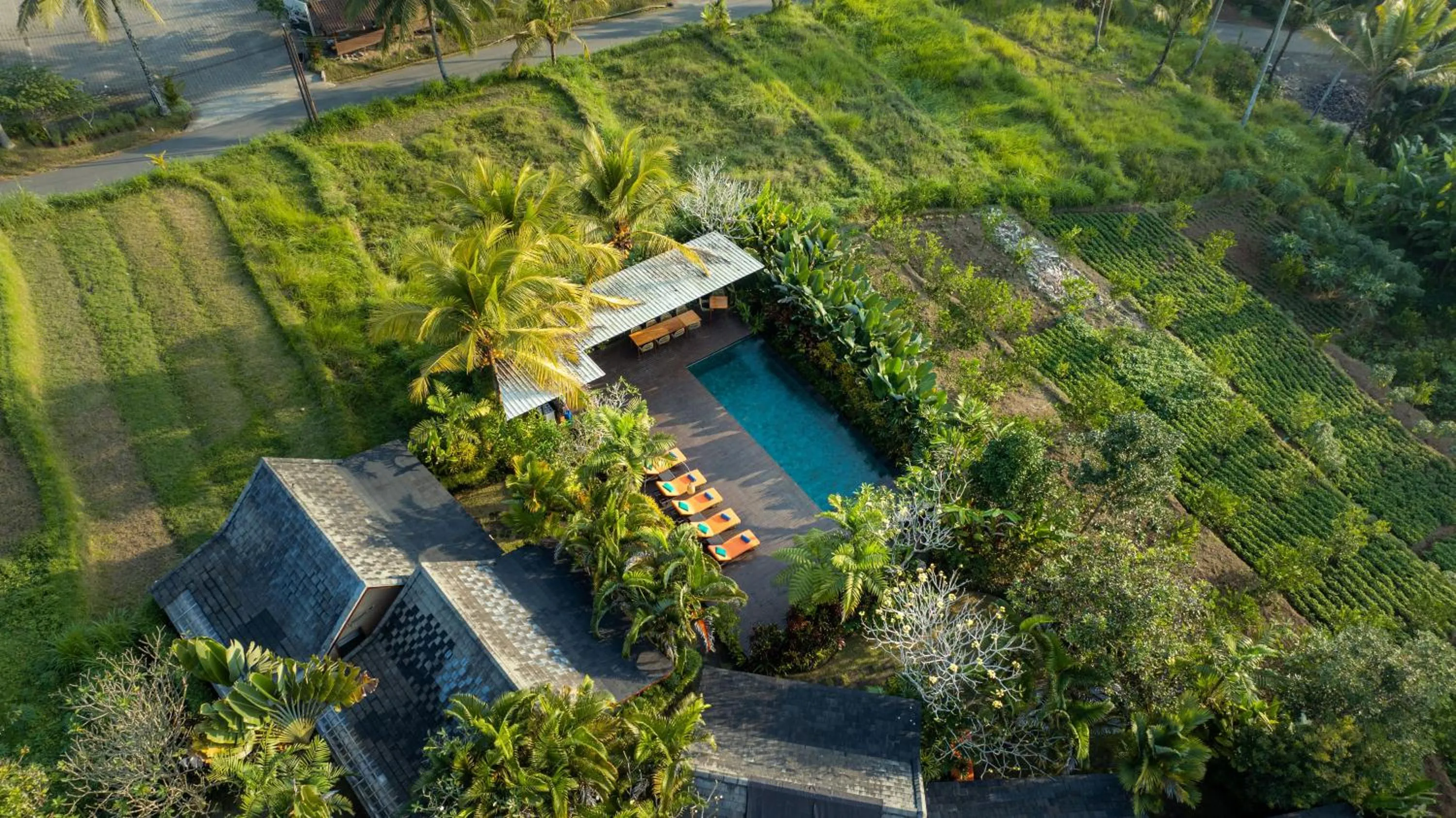 Pool view in Villa Tegal Tis Ubud