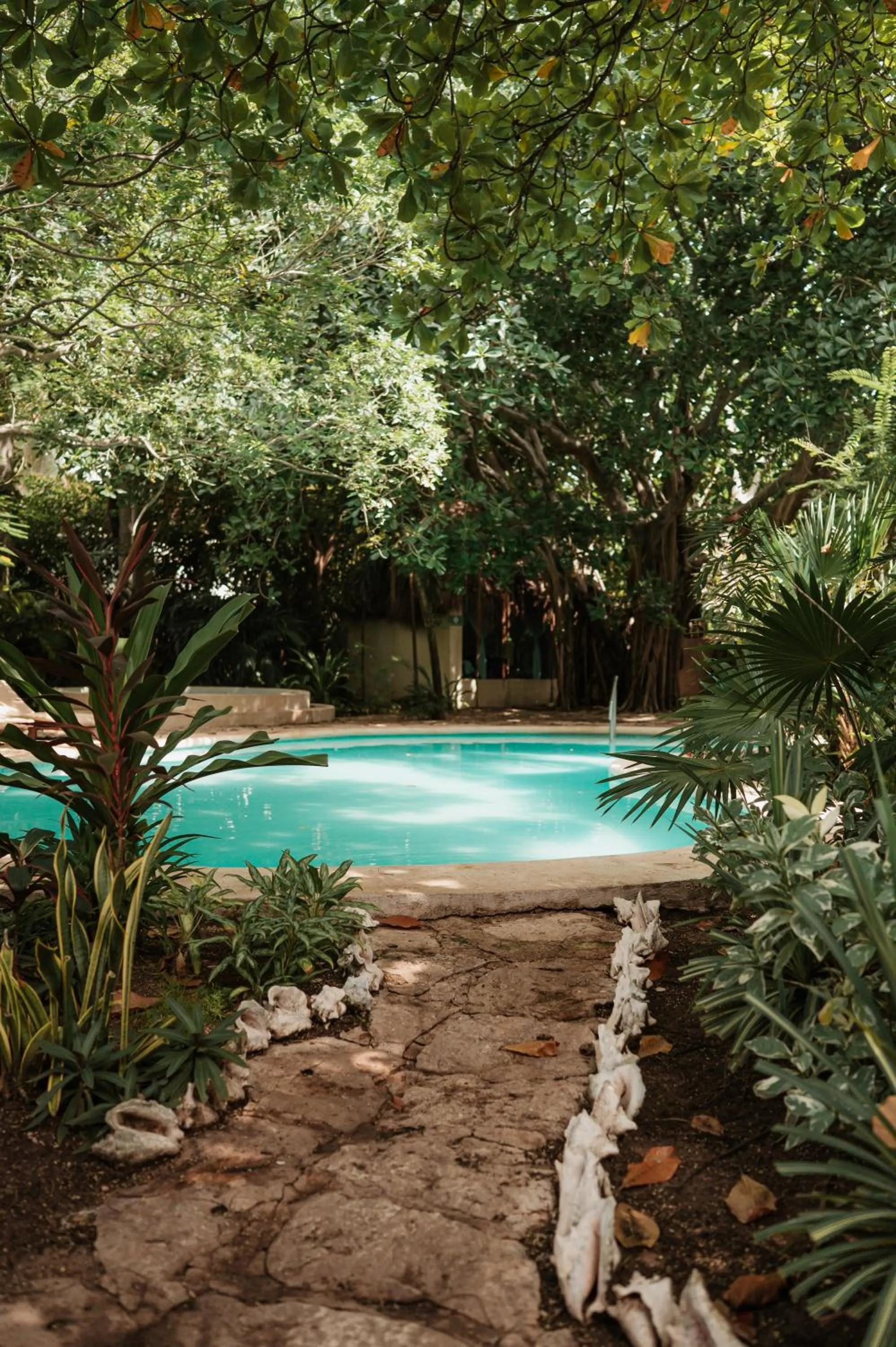 Swimming pool in Na Balam Hotel