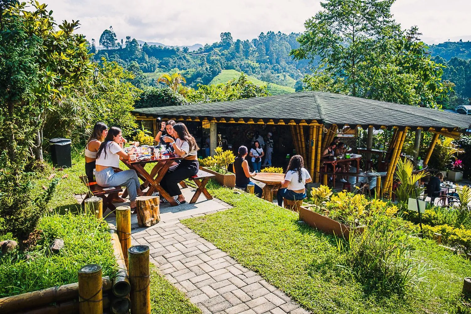 Restaurant/places to eat in Viajero Salento Hostel