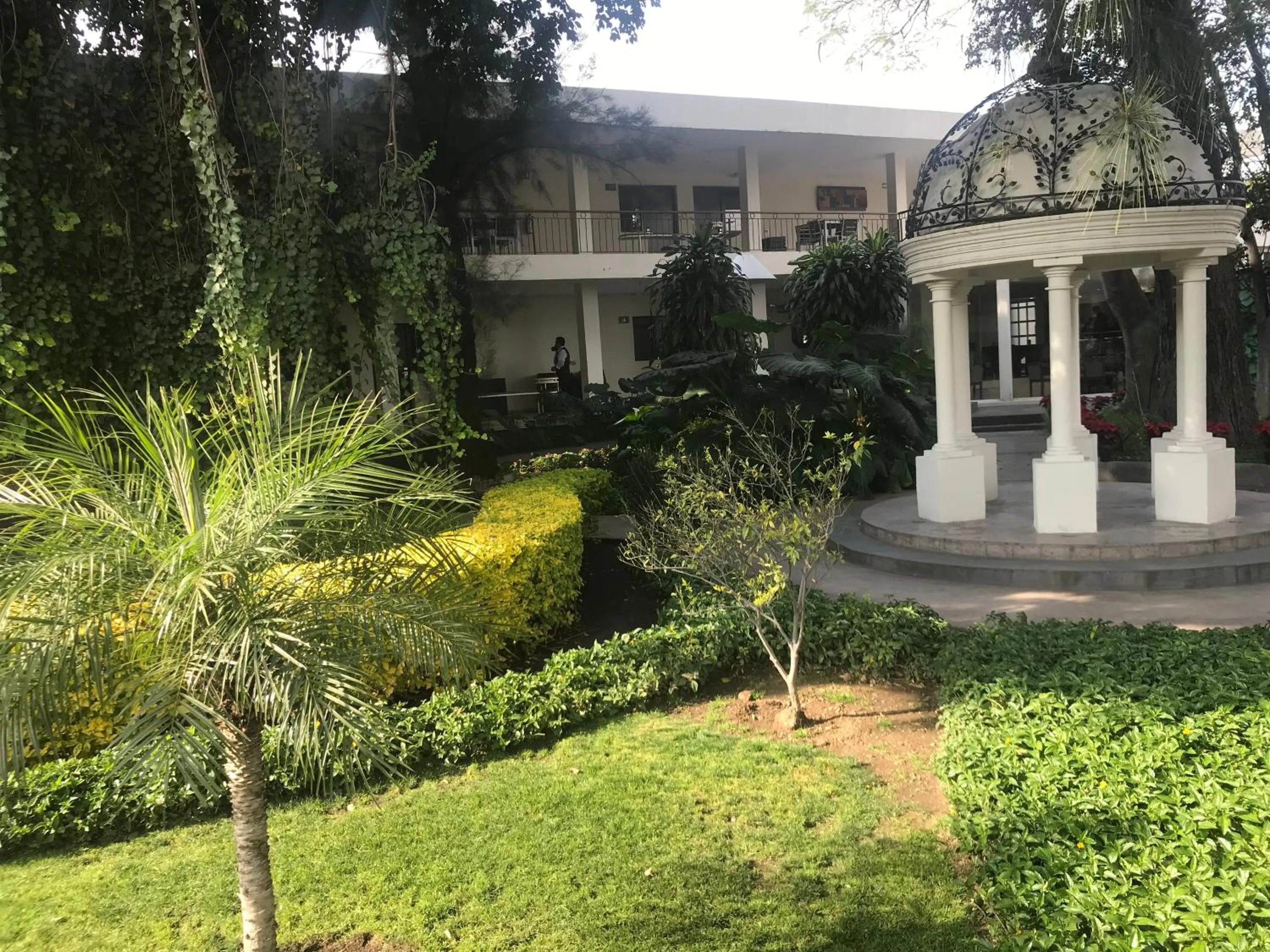 Garden view in Hotel Ronda Minerva