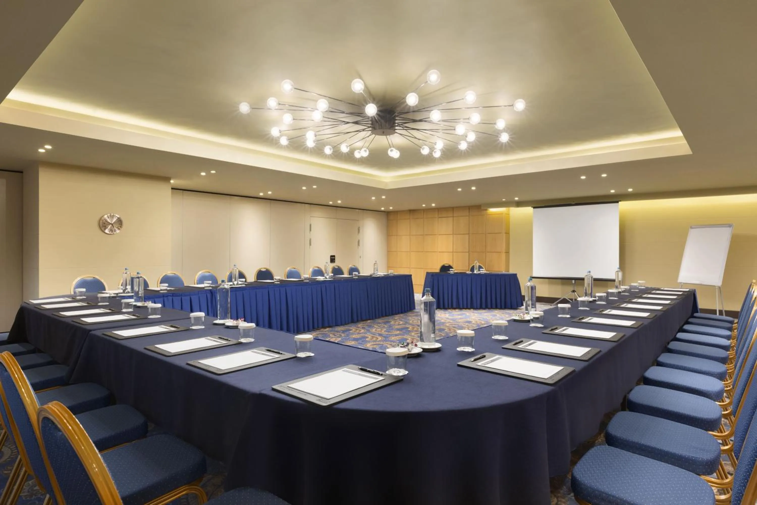 Meeting/conference room in Zeus Wyndham Grand Athens