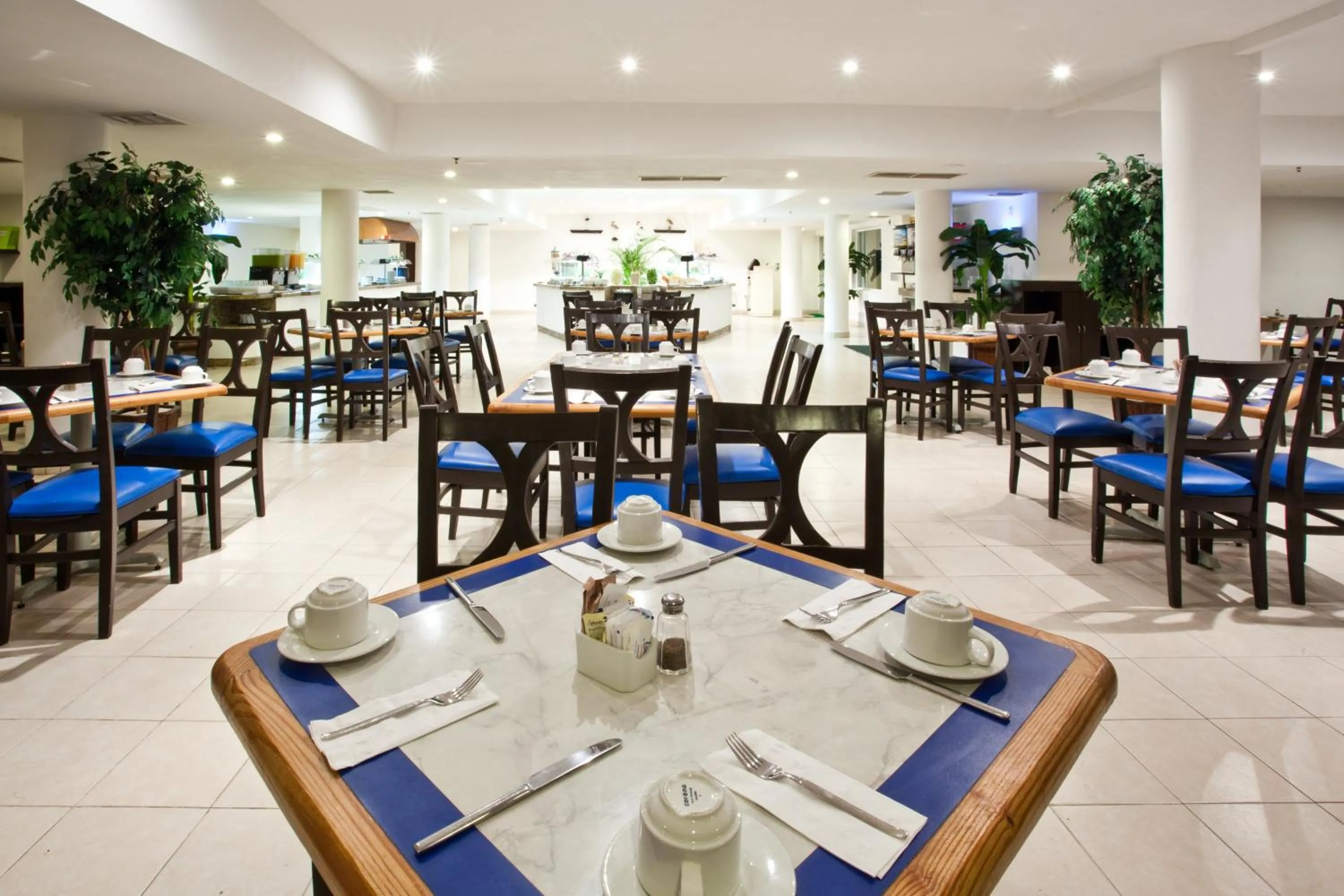 Restaurant/Places to Eat in Ocean View Cancun Arenas