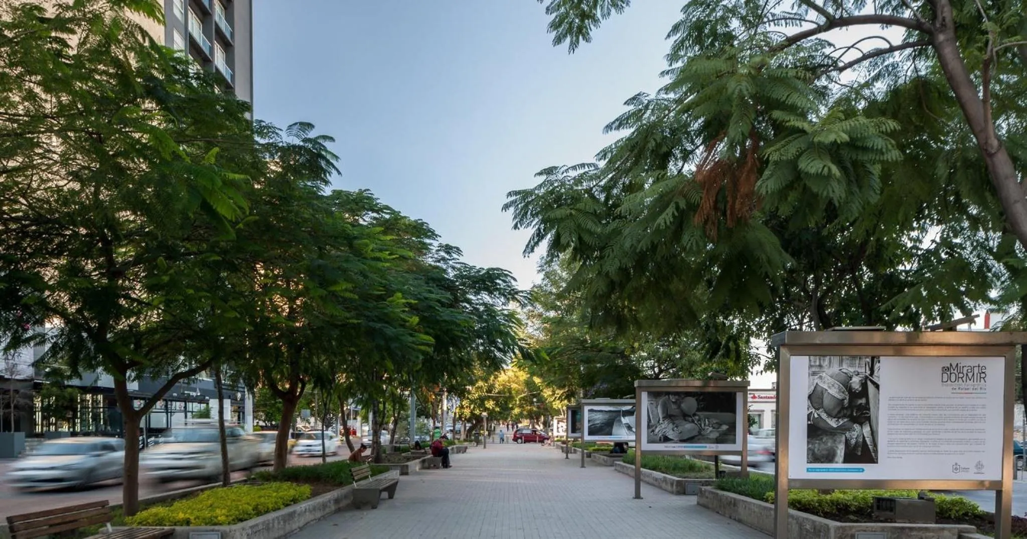 Area and facilities in Holiday Inn Hotel & Suites Centro Historico by IHG