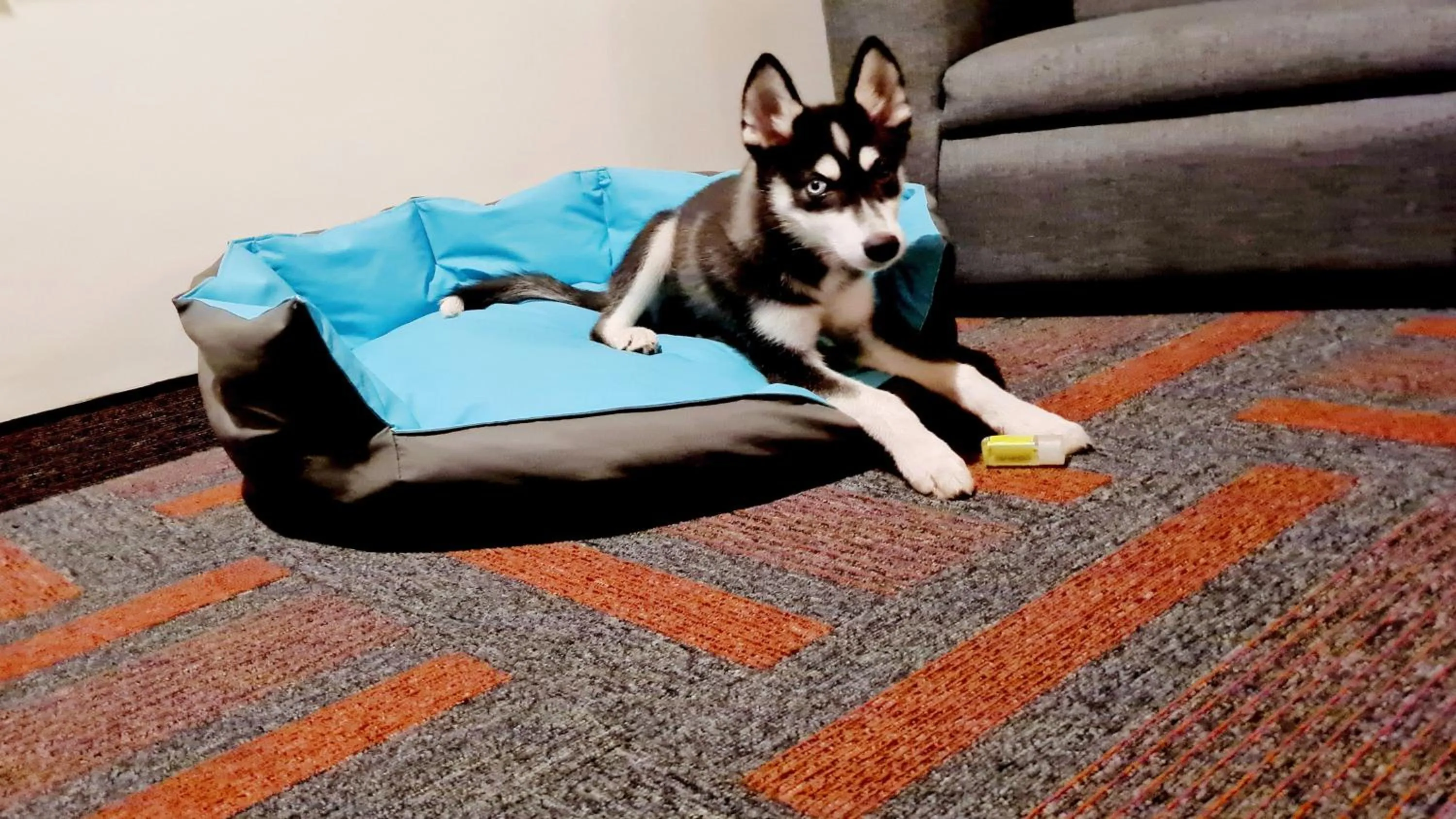 Other in Holiday Inn Mexico Dali Airport by IHG