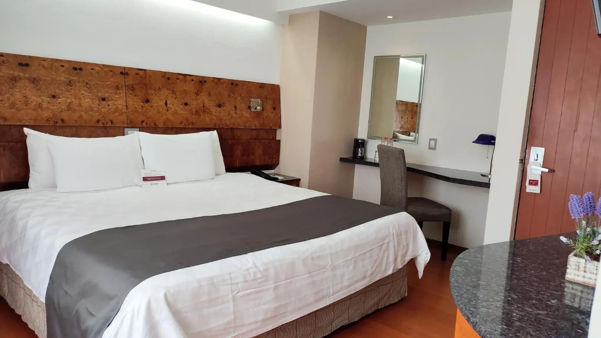 Deluxe Suite in Hotel Roosevelt Condesa Deluxe Suite in Hotel Roosevelt Condesa