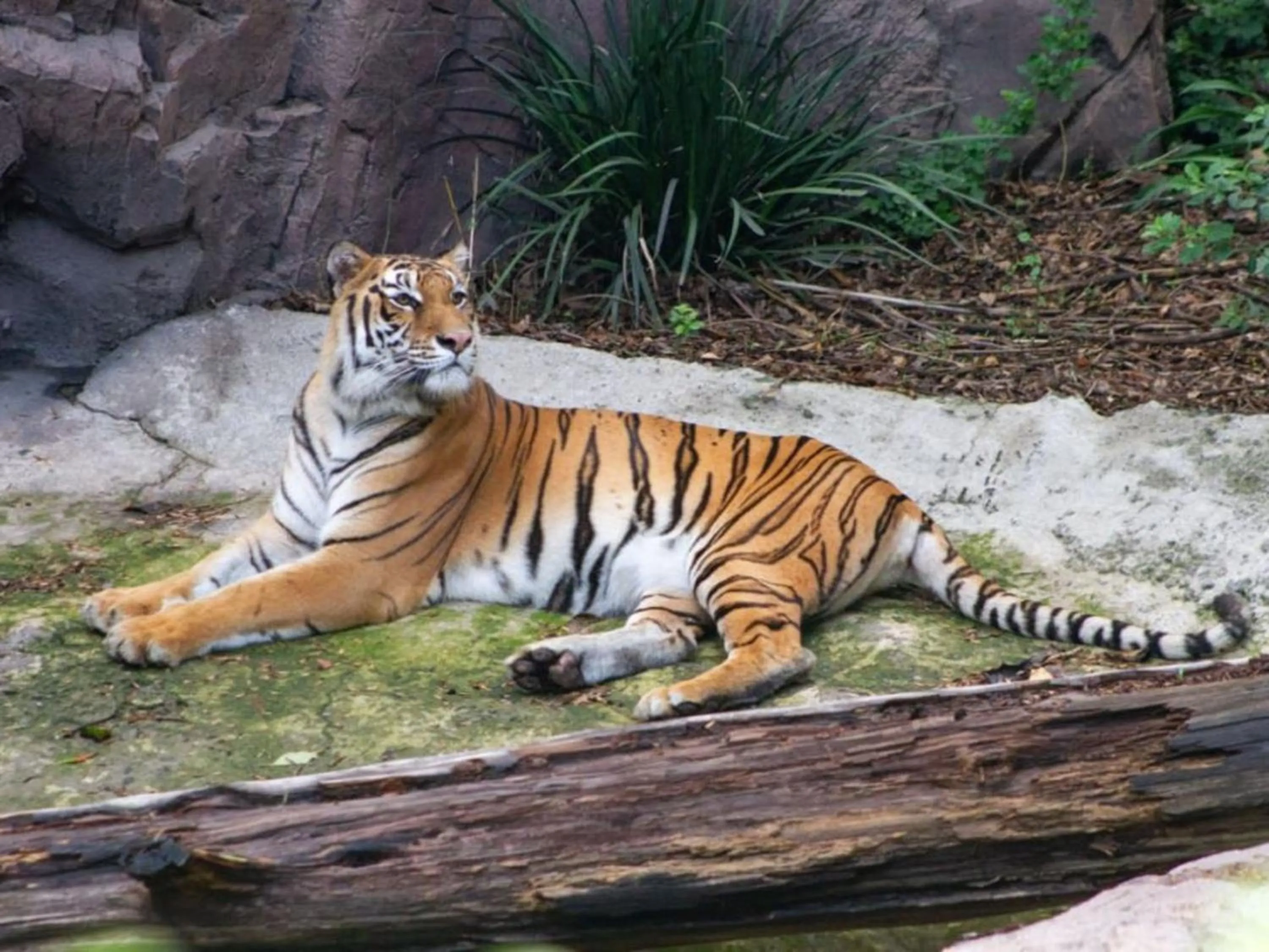 Nearby landmark in Holiday Inn Express Ciudad de Mexico Condesa by IHG