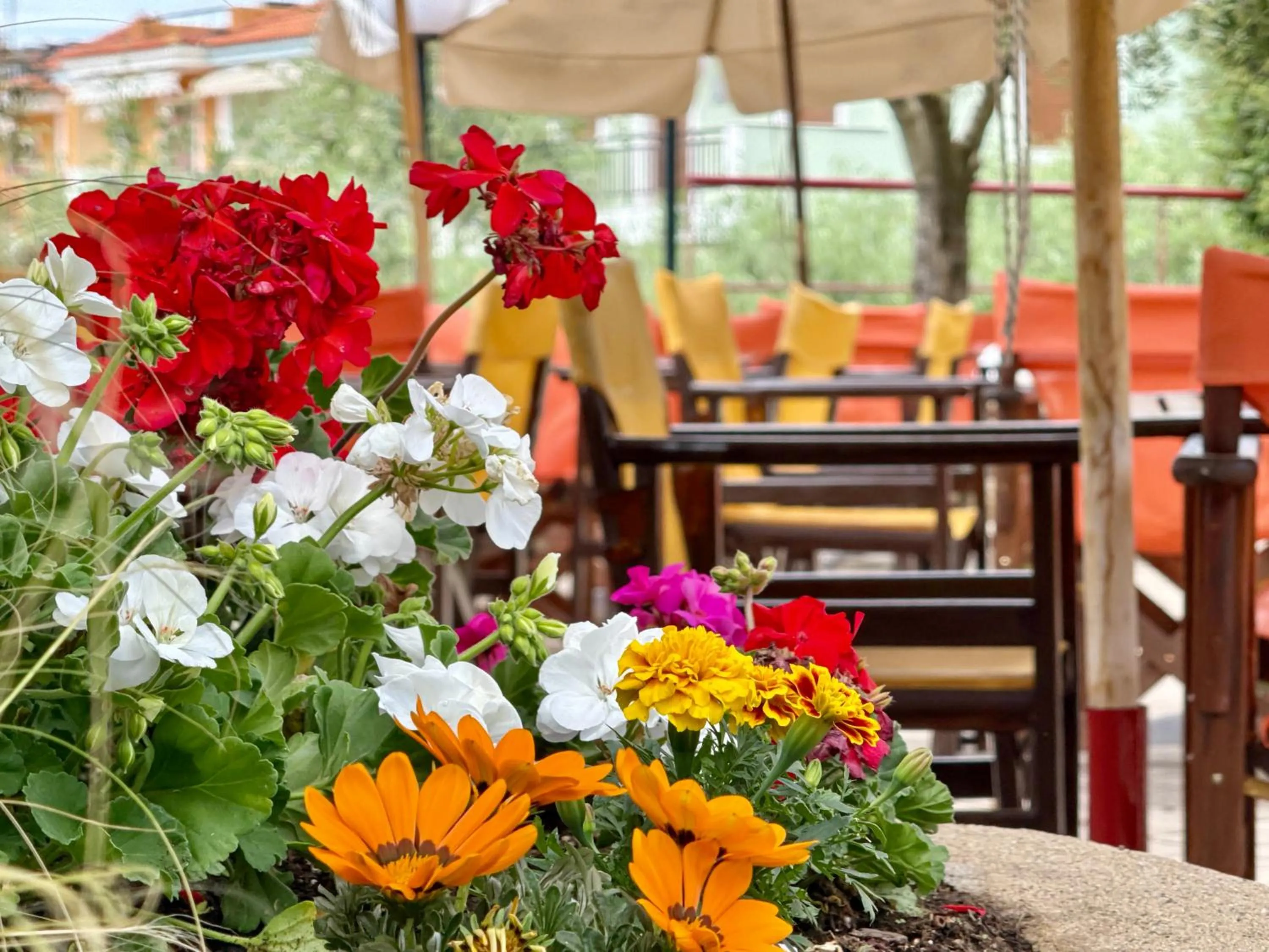 Summer in Maistrali Beach Studios